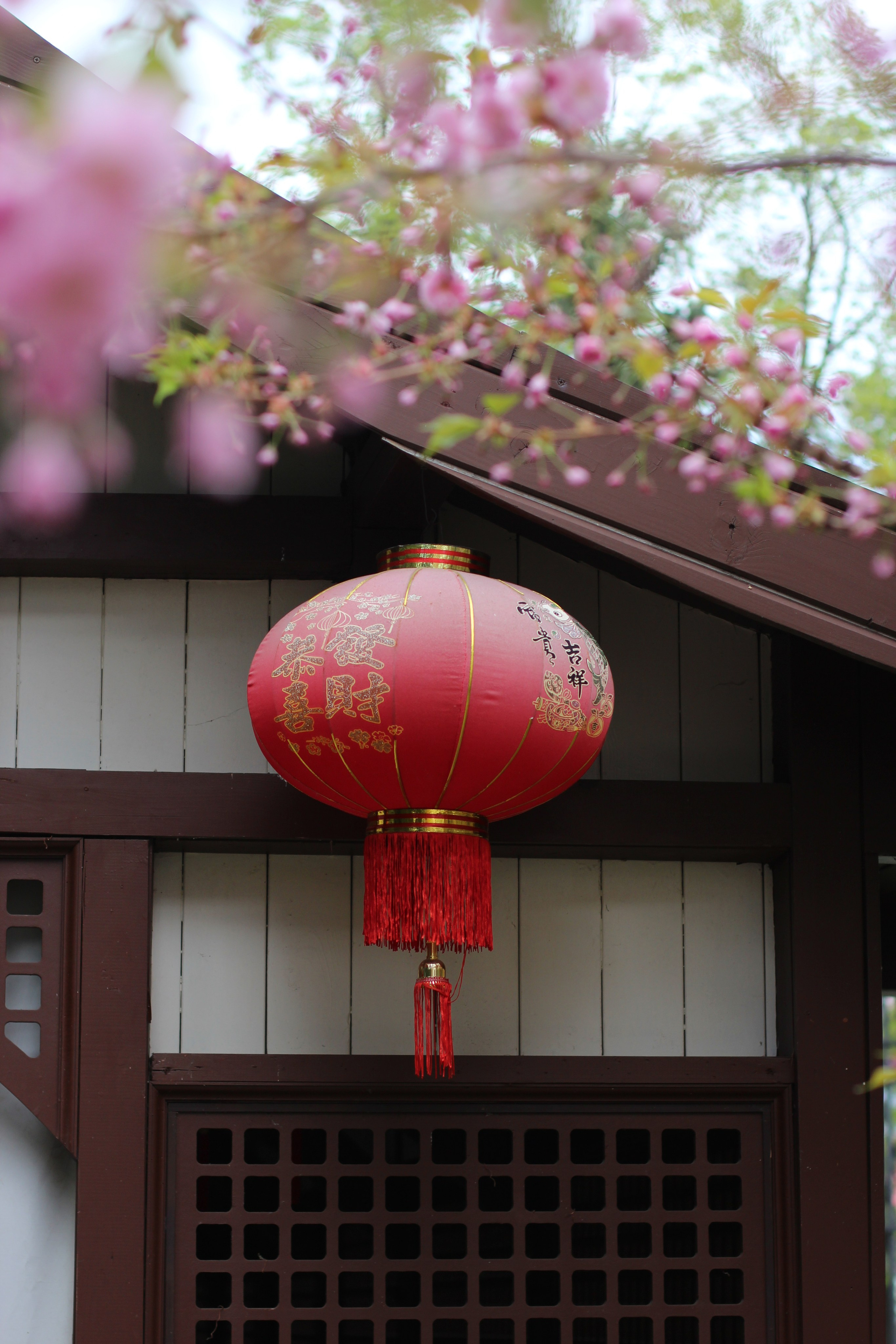 Выставка «Волшебница». Ваш личный фотограф в Москве Мила