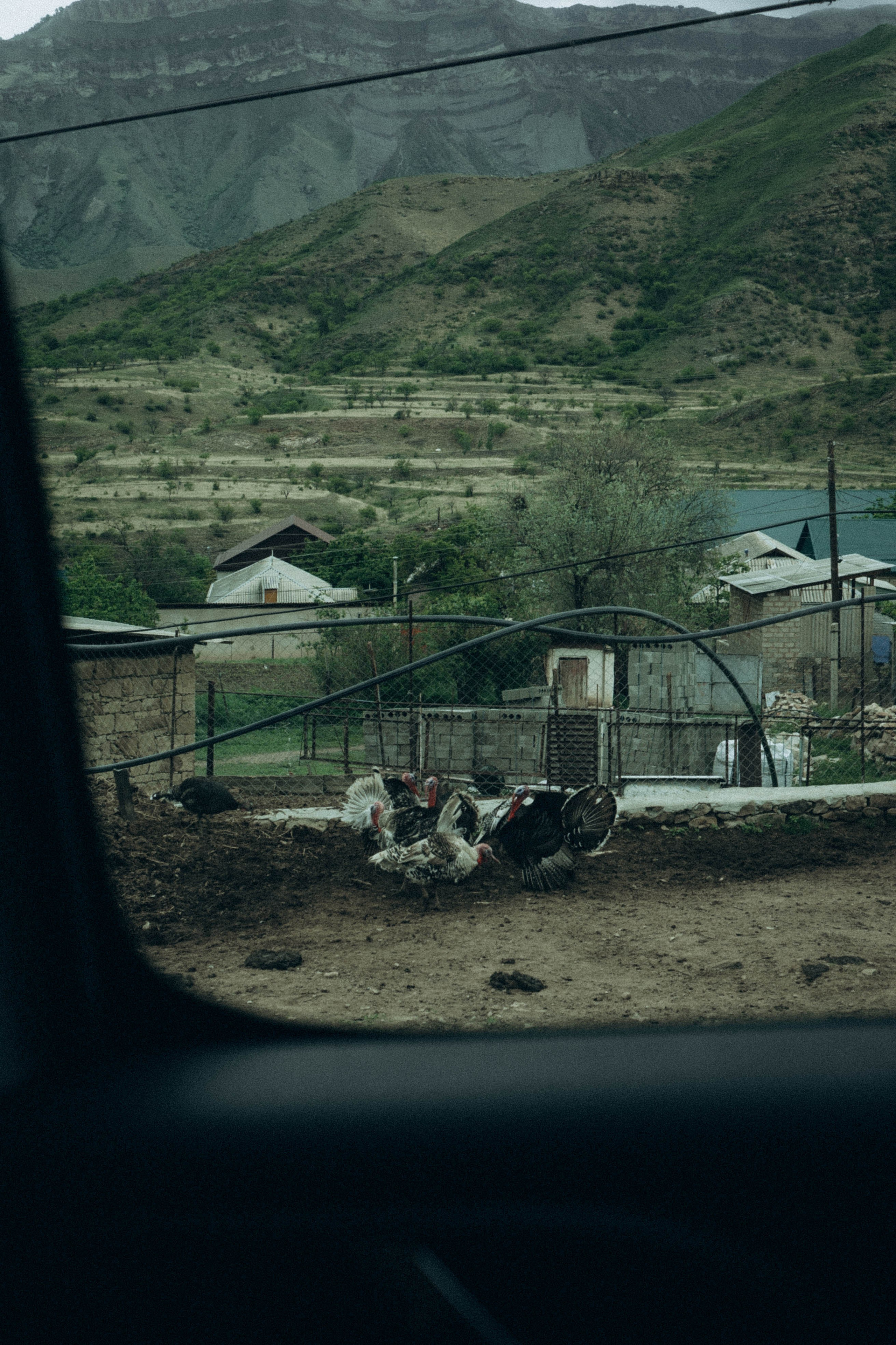 Кавказ. Профессиональный фотограф, Санкт-Петербург — Виктория Богомолова