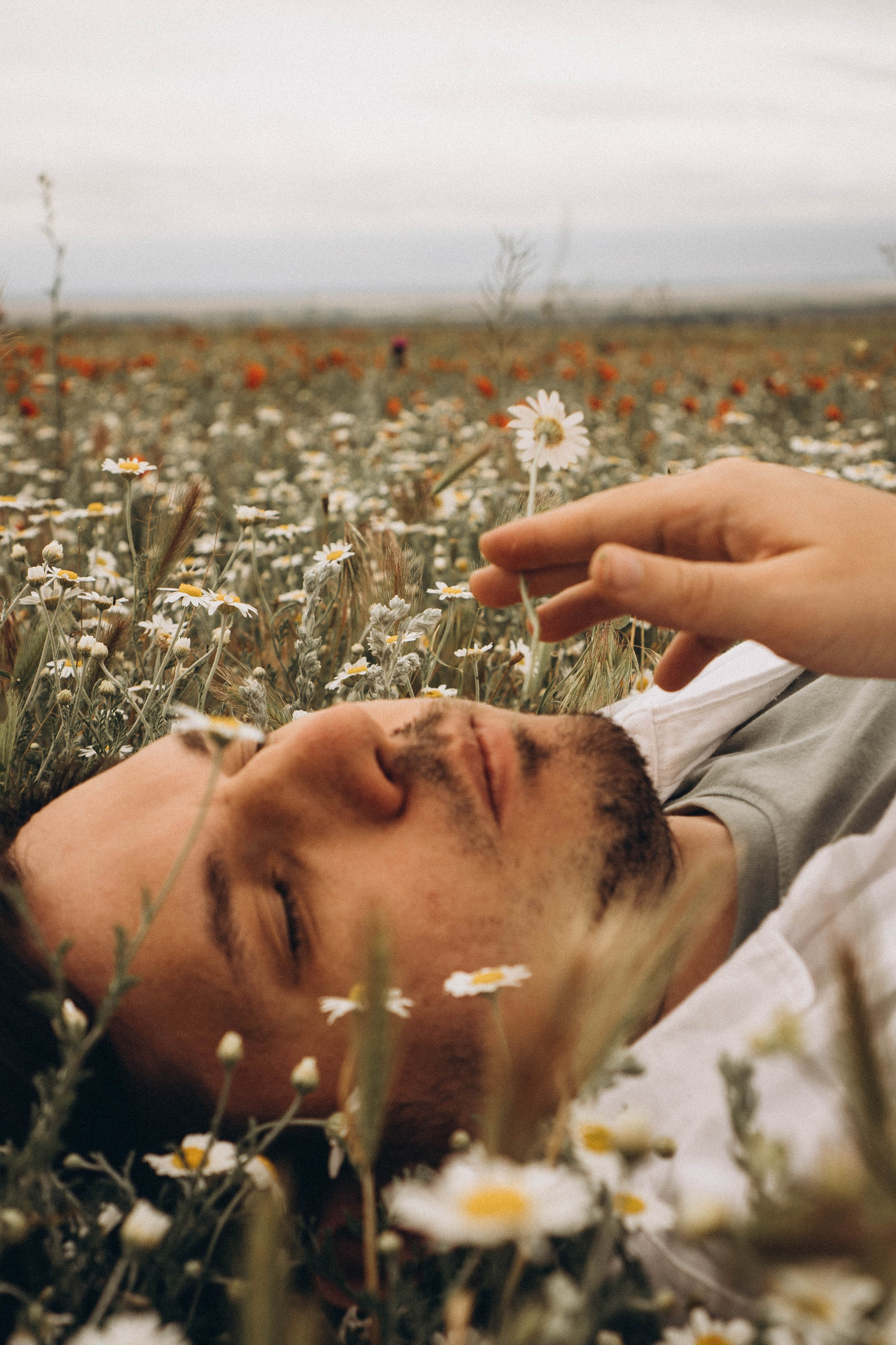Маки. Профессиональный фотограф, Санкт-Петербург — Виктория Богомолова