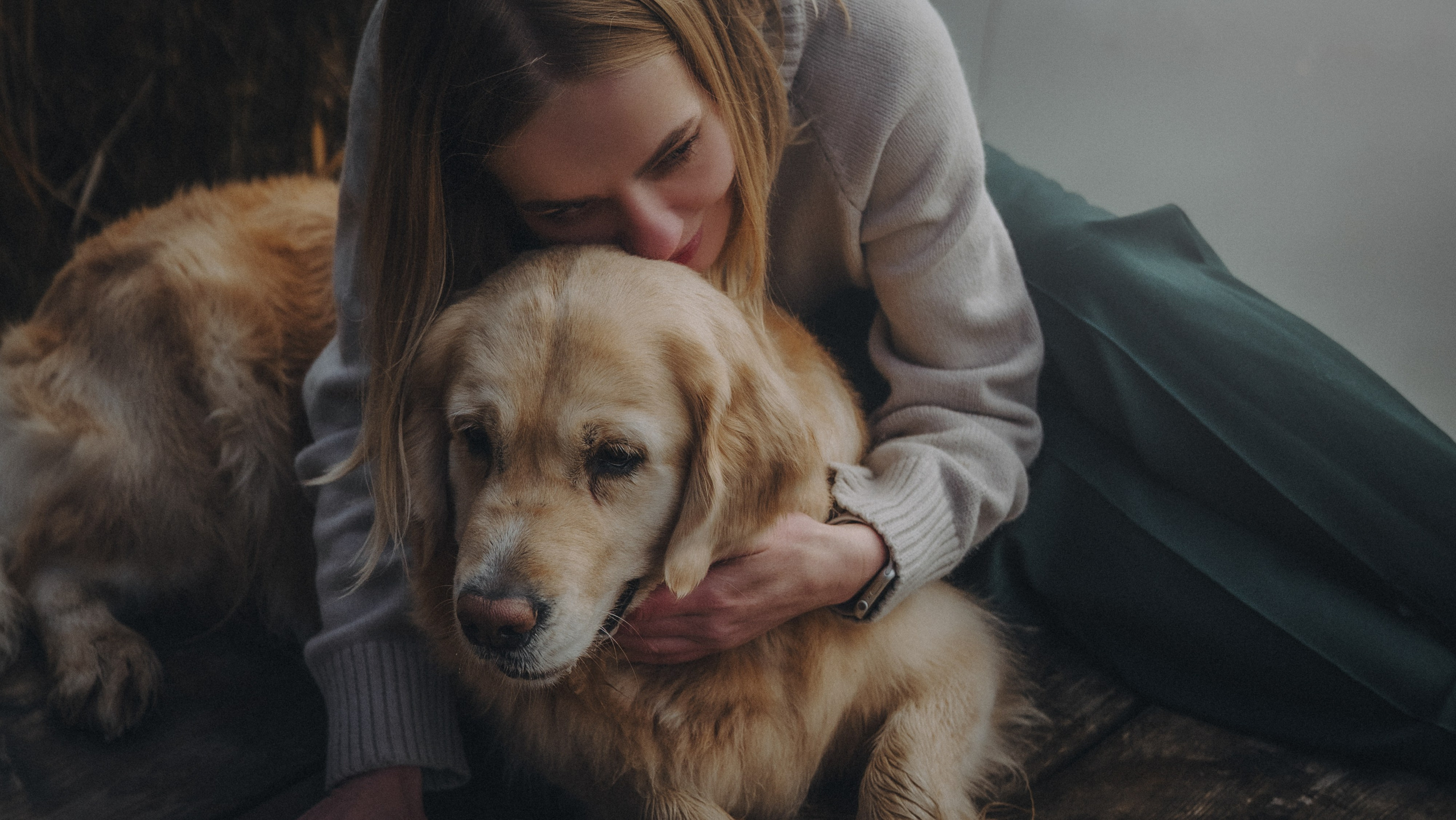 Анастасия и Айза. Фотограф анималист в Москве и Санкт-Петербурге Свиридова Анна