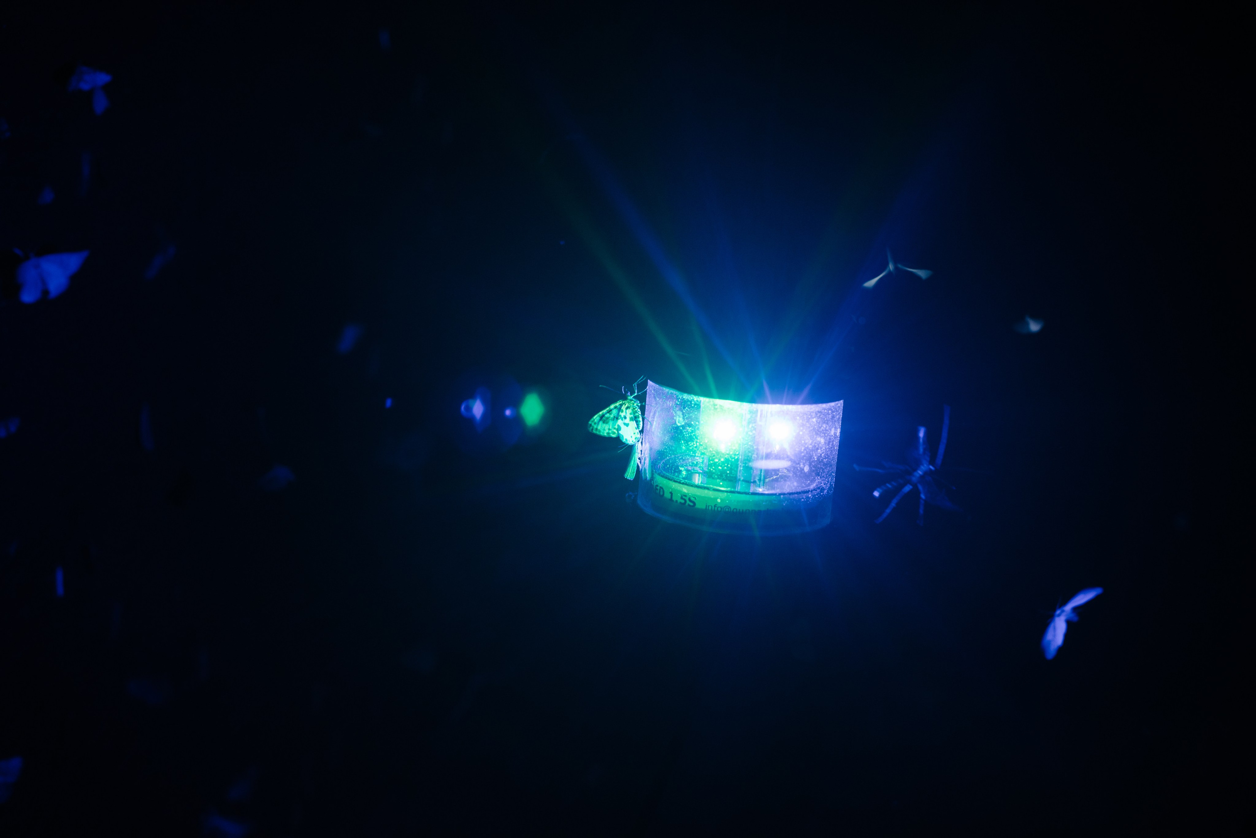 Сахалин и Курильские острова. Фотограф Алиса Калинина