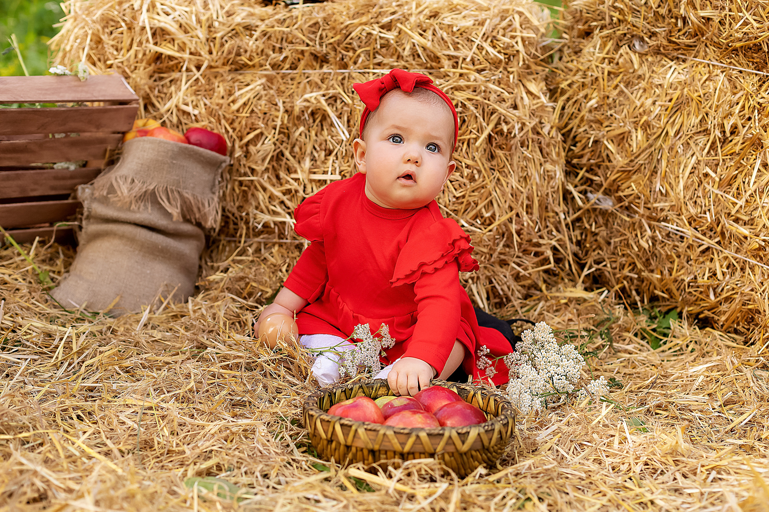 Семейные и детские фотографии. Фотограф Трифонова Ольга. Город Тюмень