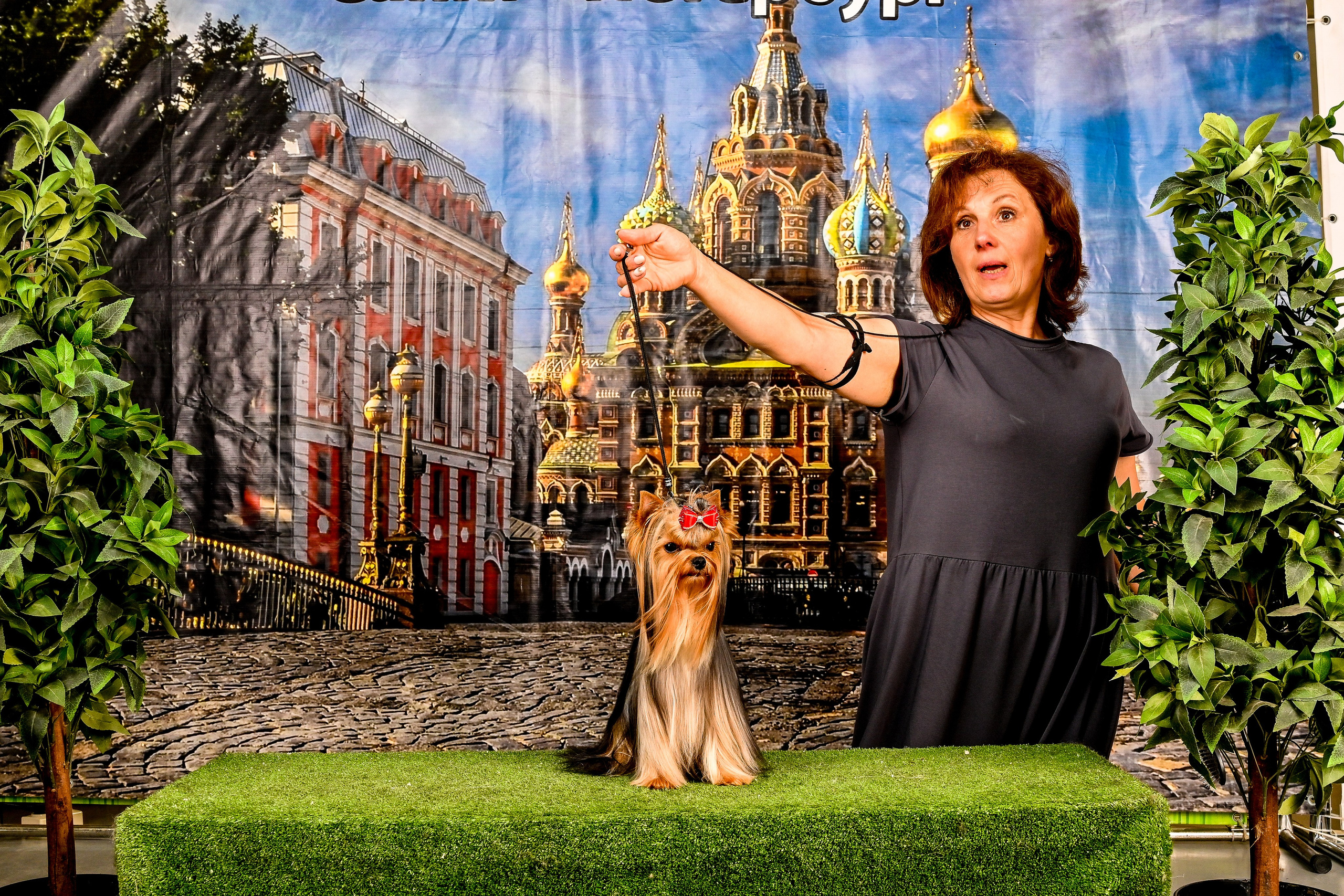 Выставка Клубы «Фауна» и «Догсити» 21-22 Июня 2025 «Пёсбург». Фотограф-анималист в СПб