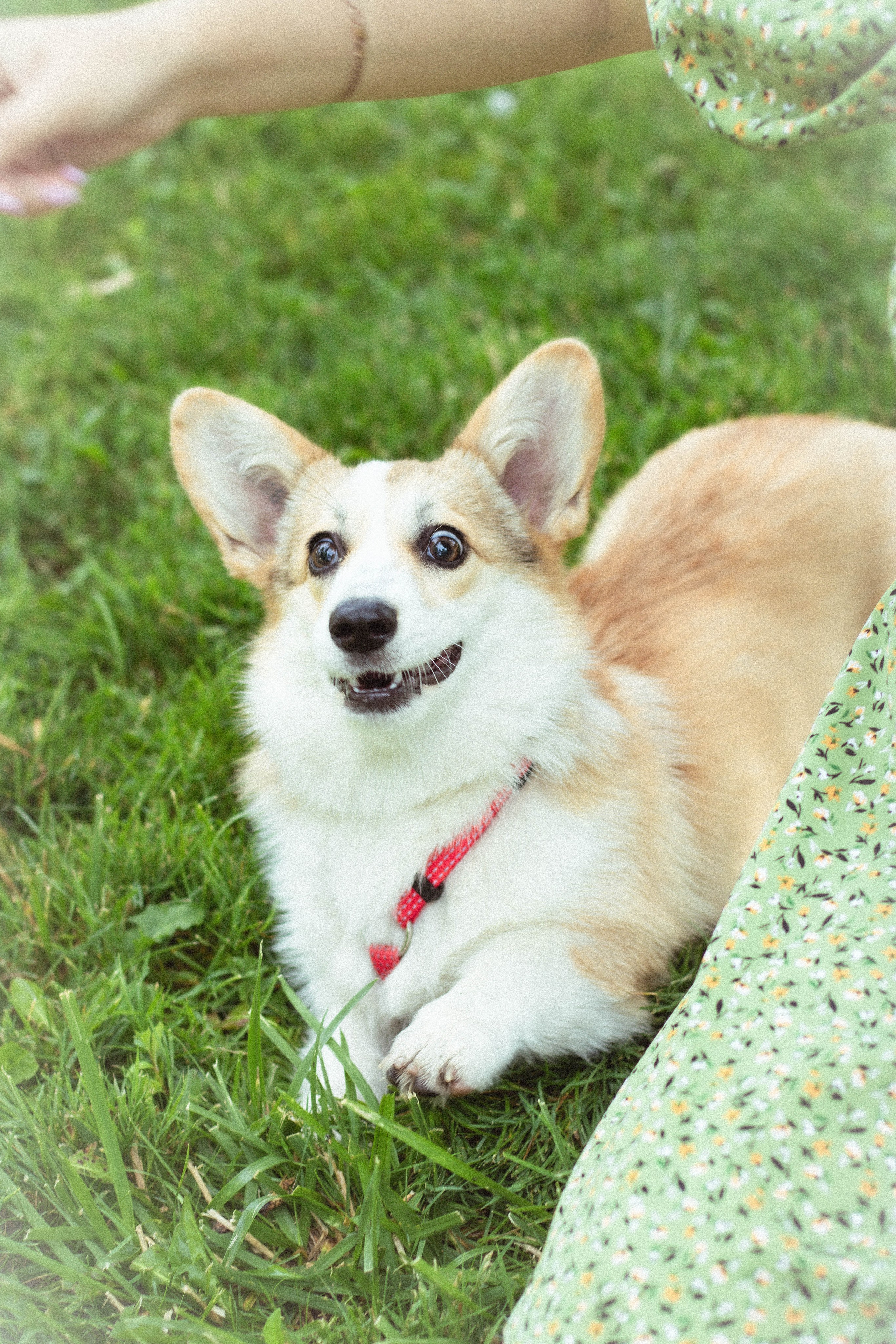 Таня и Джесси. Фотограф из Краснодара