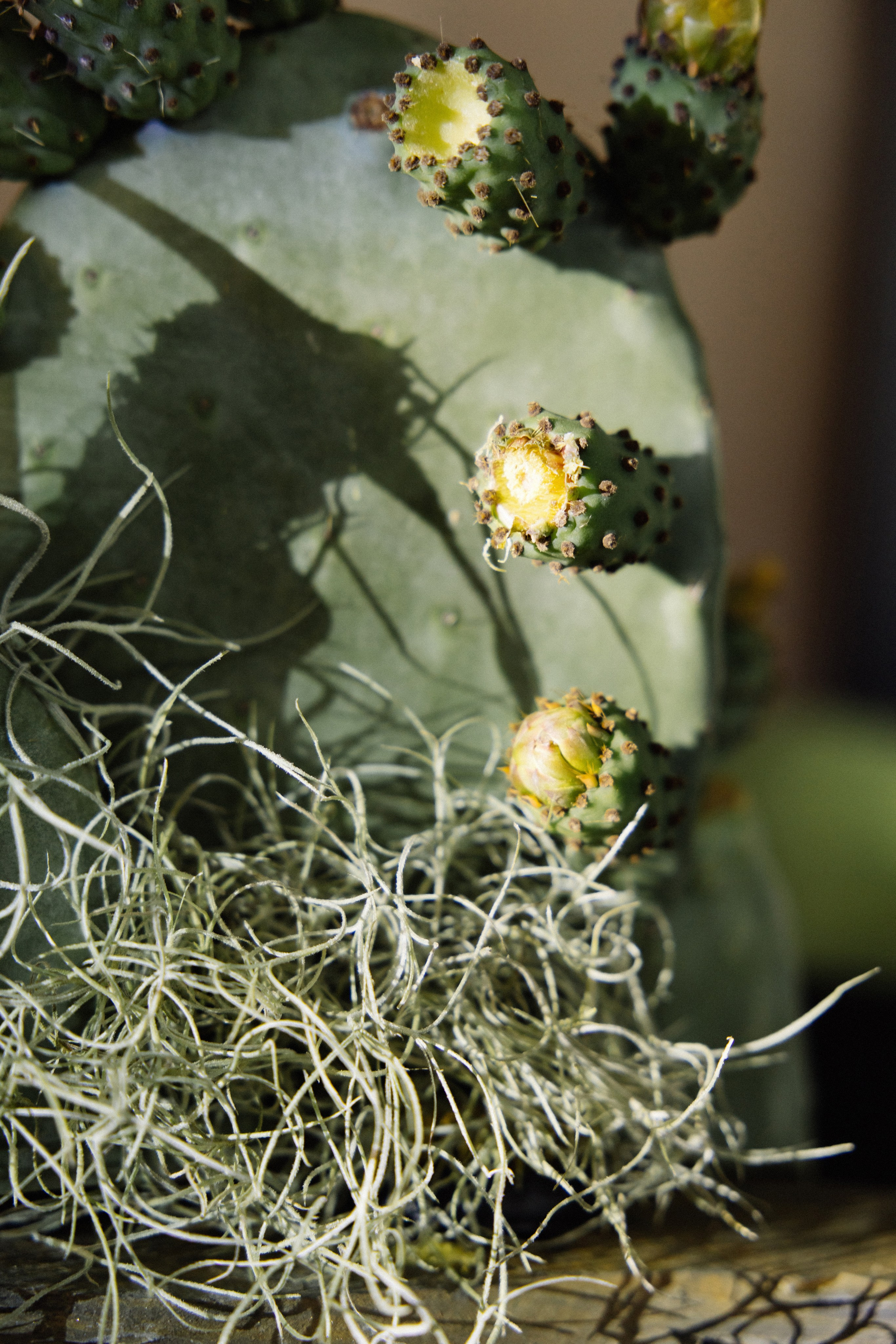 @avtors.agency. Свадебный и репортажный фотограф в Москве Владимир Сергеев | Naysaikolo