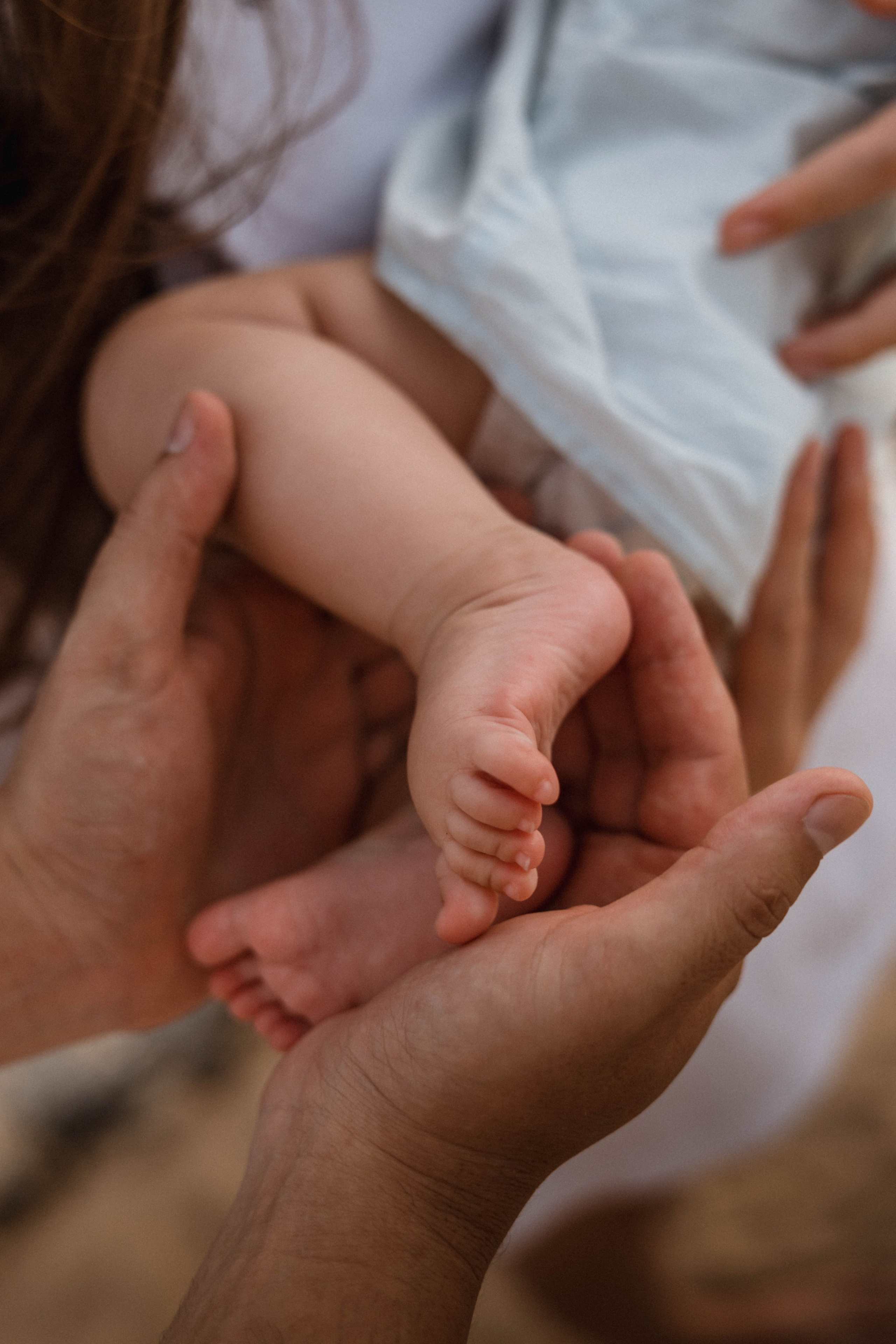 Семьи. Главная