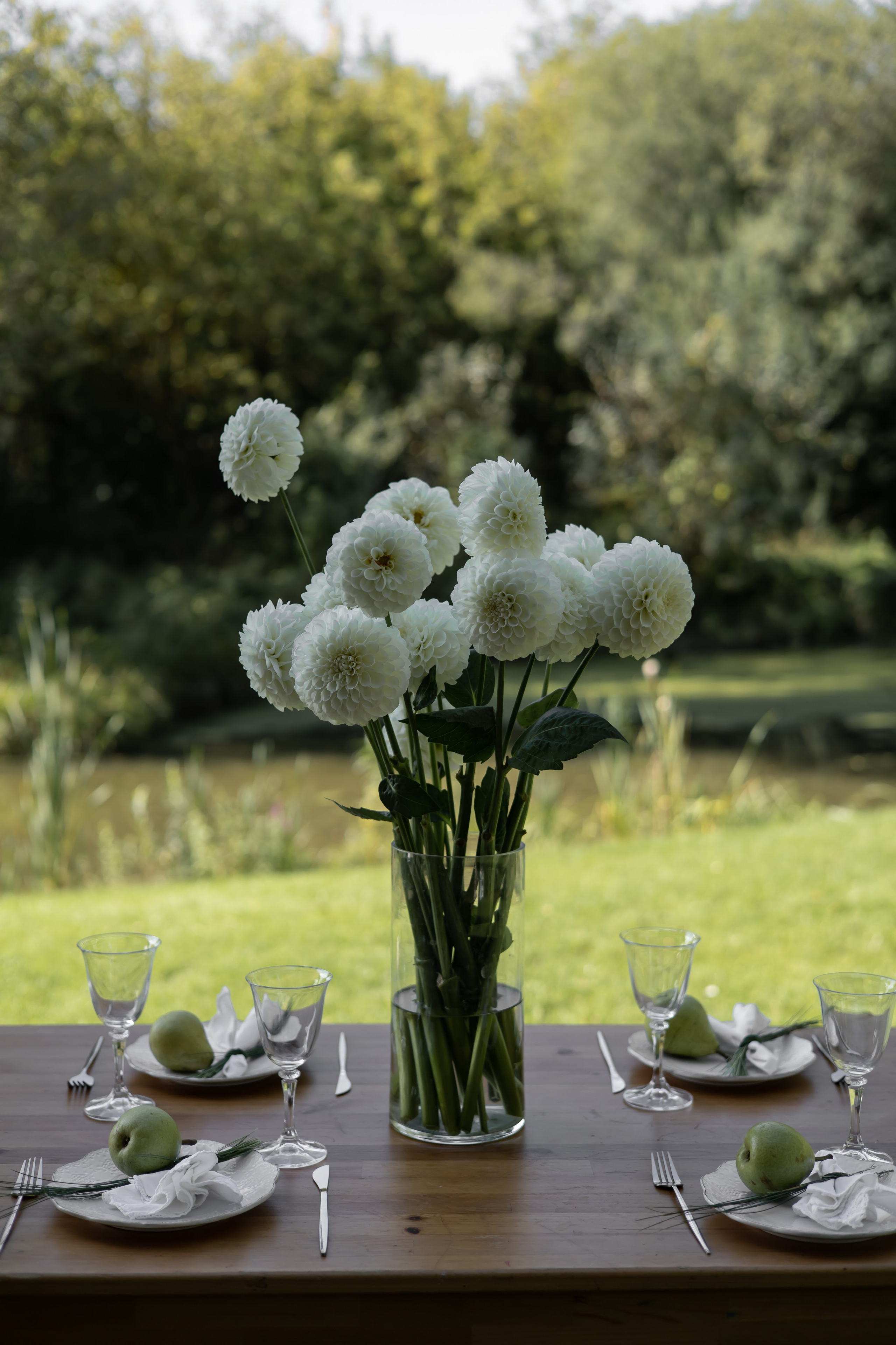 ДИНИЯ. Фотограф Элла Ефимова