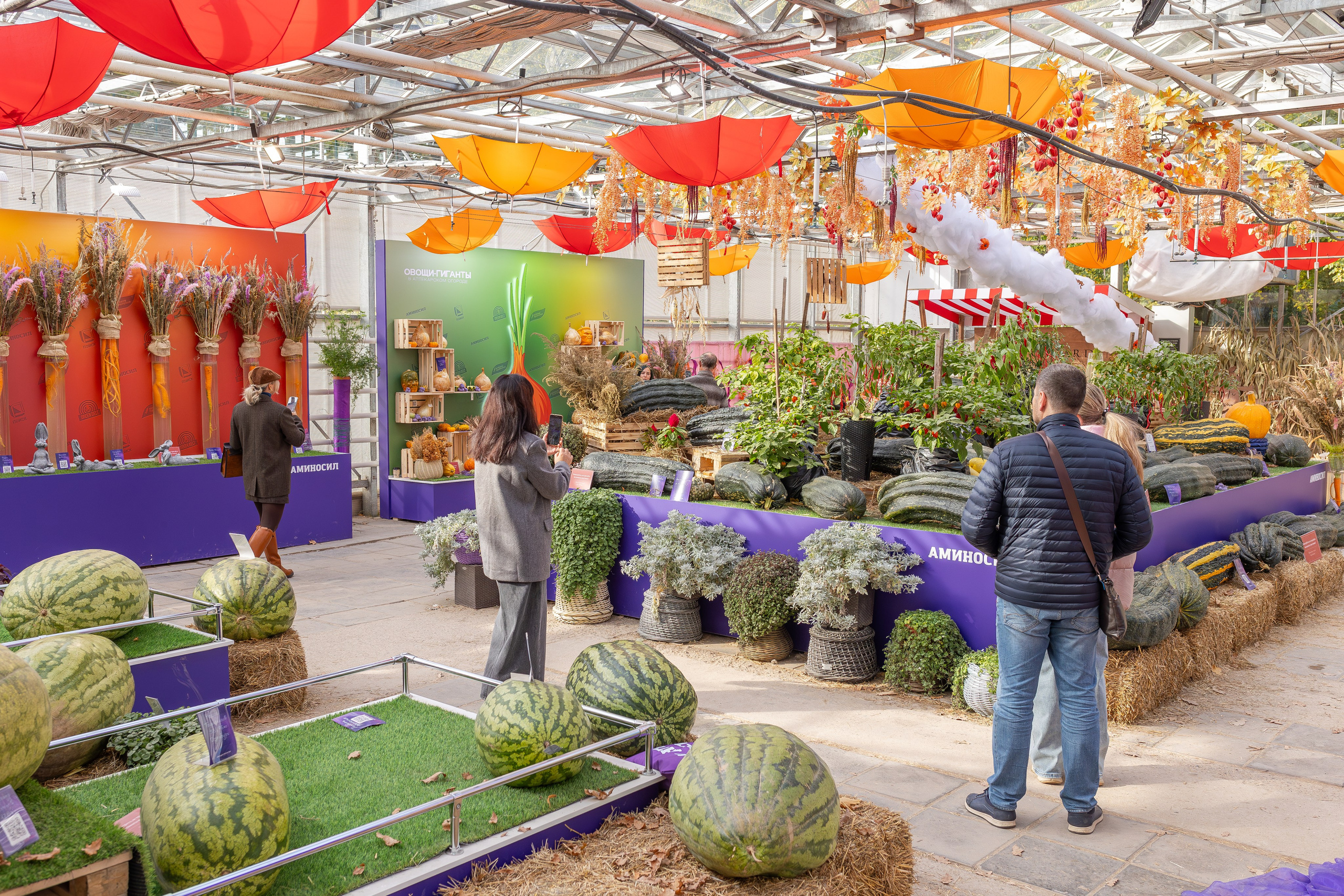 Овощи-гиганты. Александра Куликова фотограф, Москва