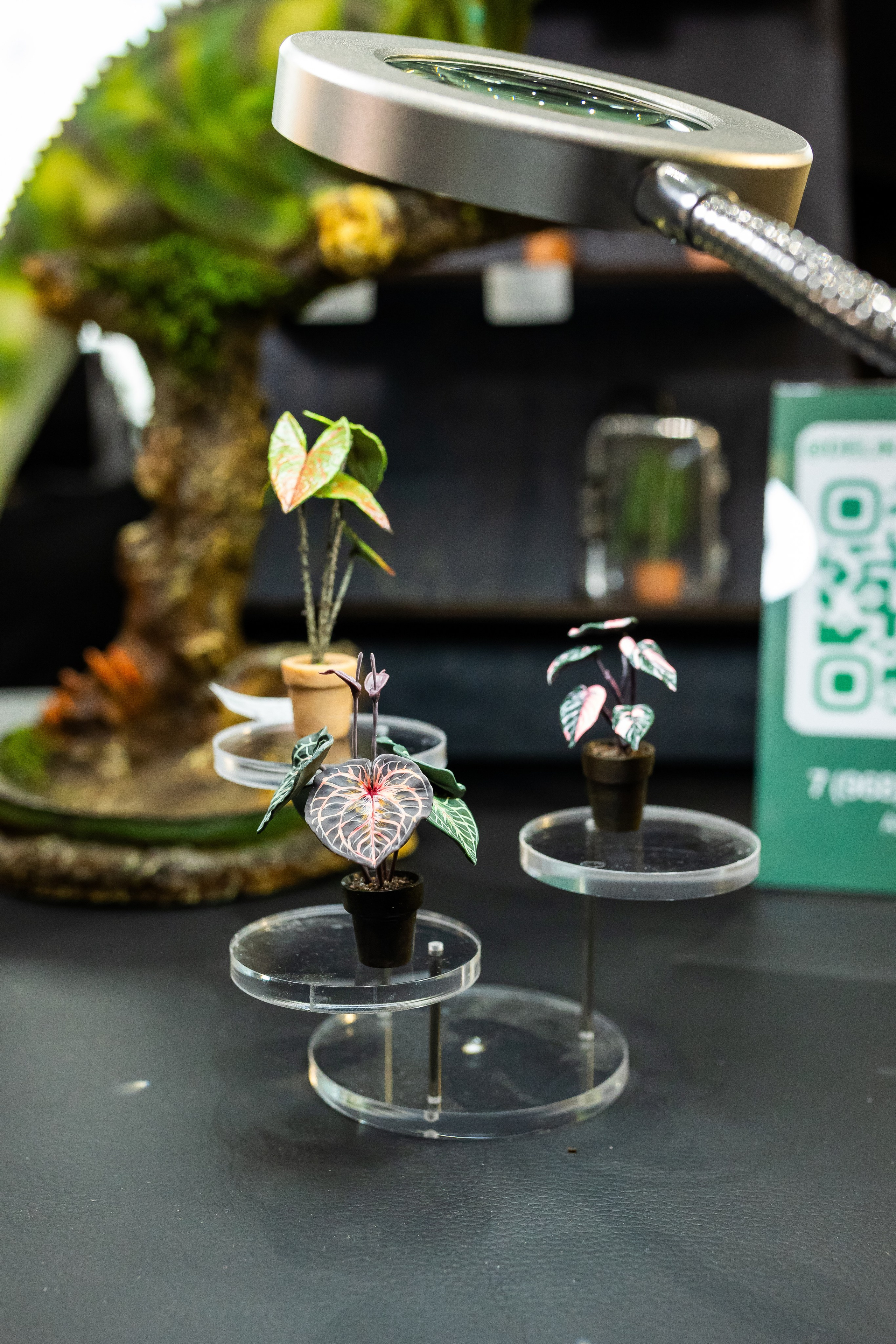 Монстериум апрель 2025. Александра Куликова фотограф, Москва