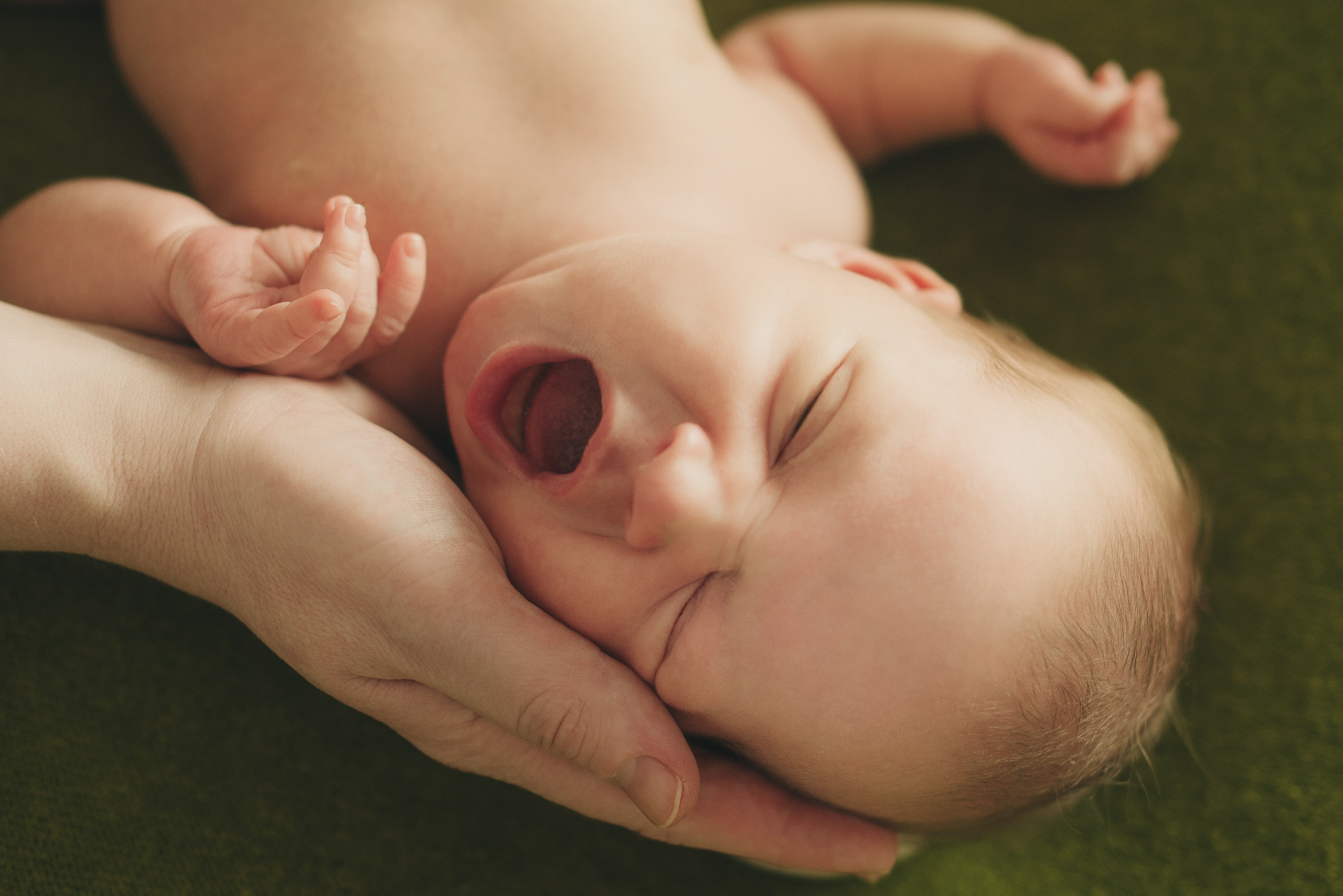 Варя. Фотограф в Москве новорожденные свадьбы семьи Дарья Ларионова