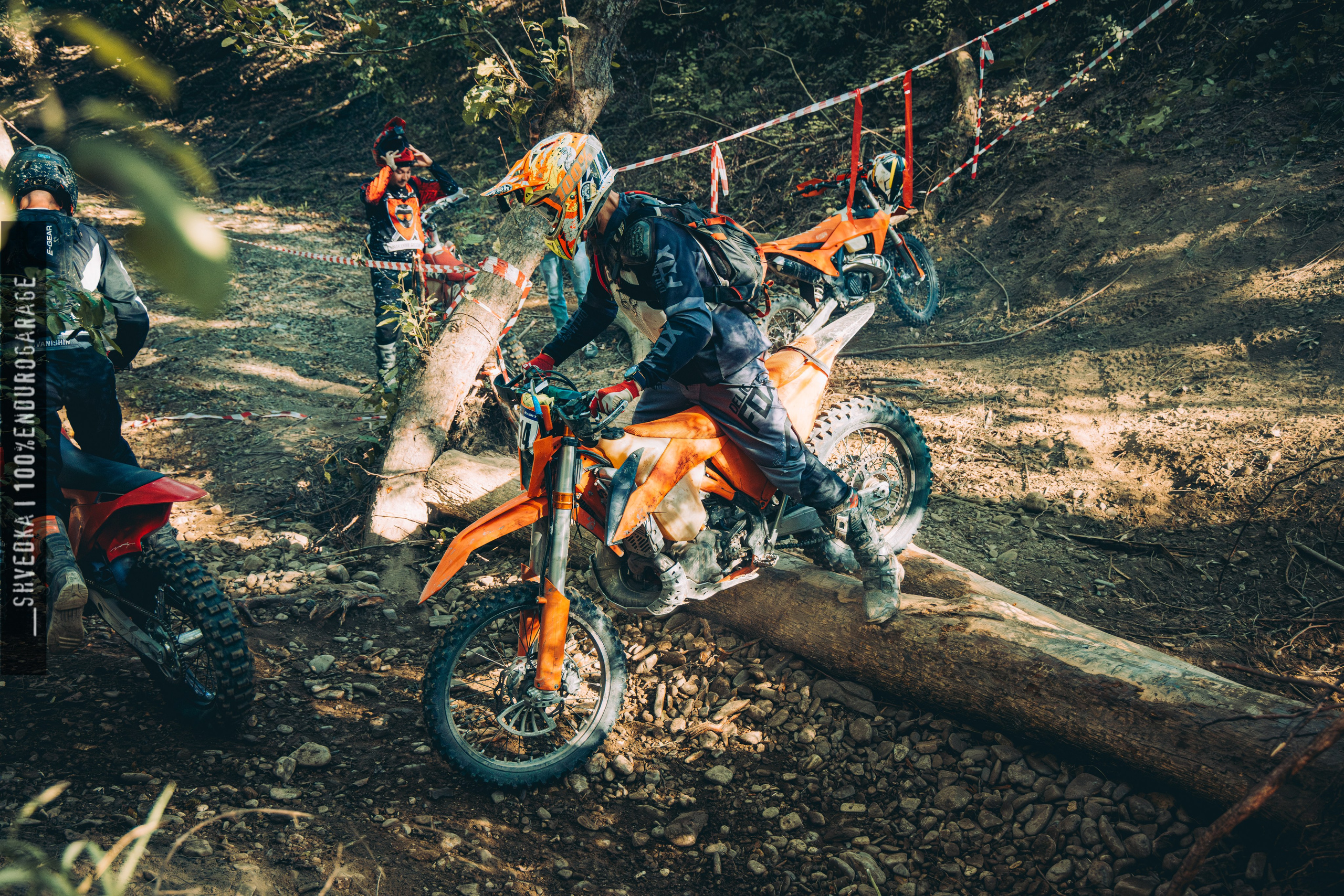 2 лесной день. Ваш экстрим фотограф Кудрева Яна