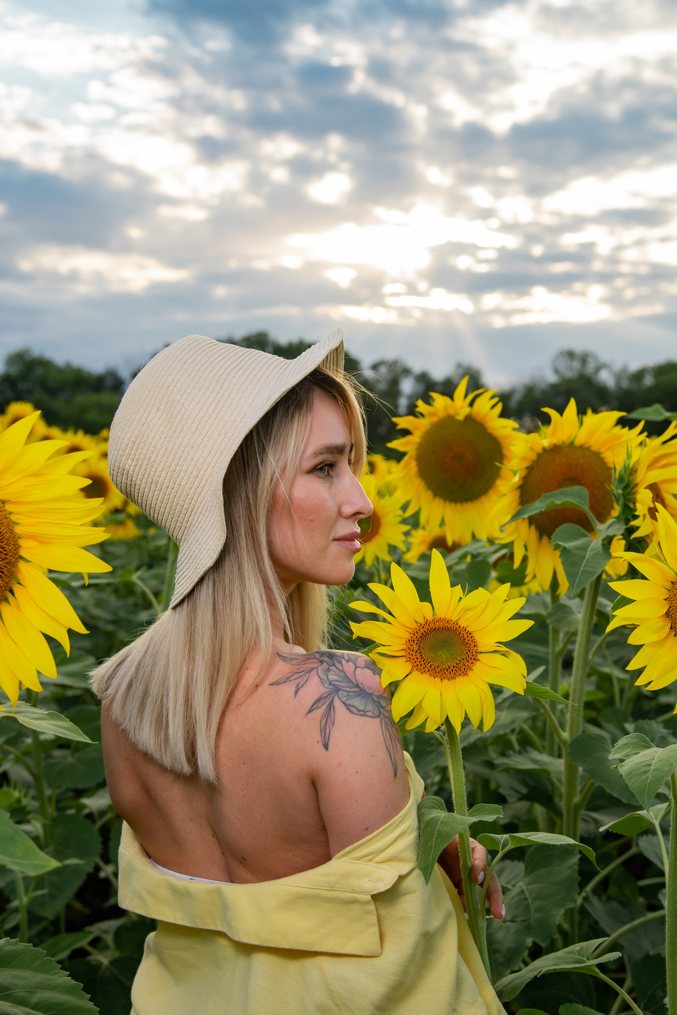 Подсолнух. Фотограф Галина Нестерова