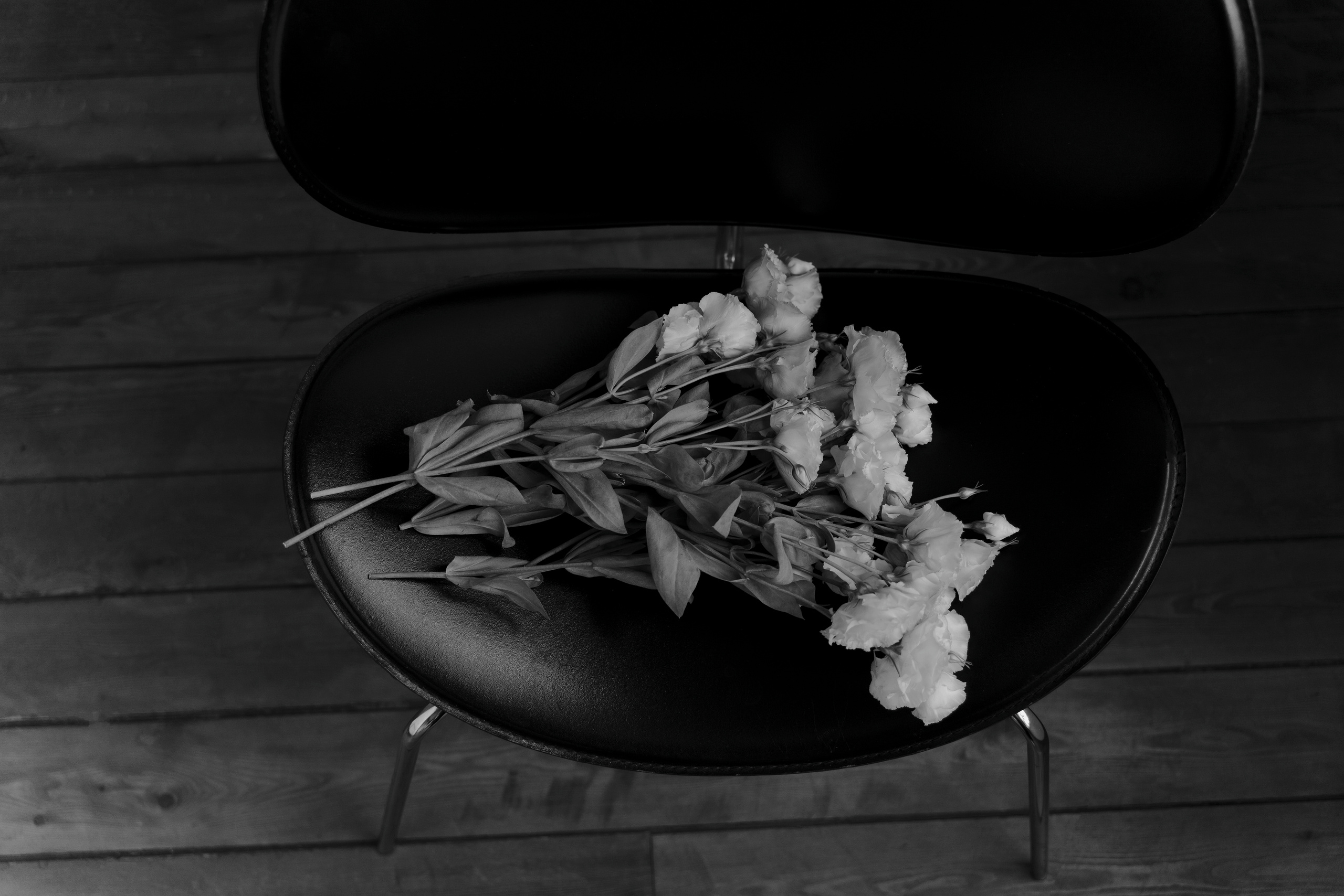 Агния. Фотограф репортаж портреты