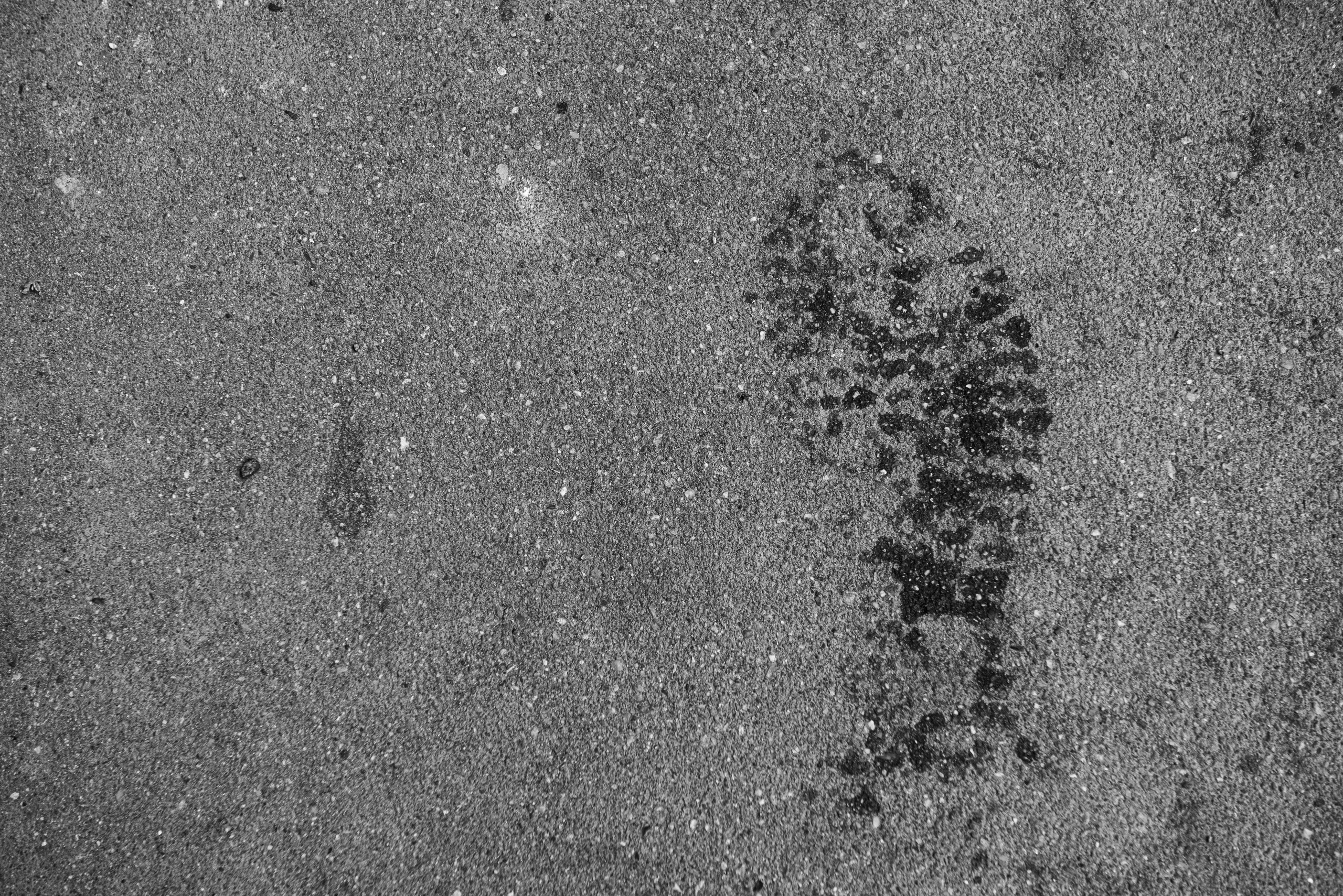 Среда. Портретный и архитектурный фотограф в Москве и Санкт-Петербурге