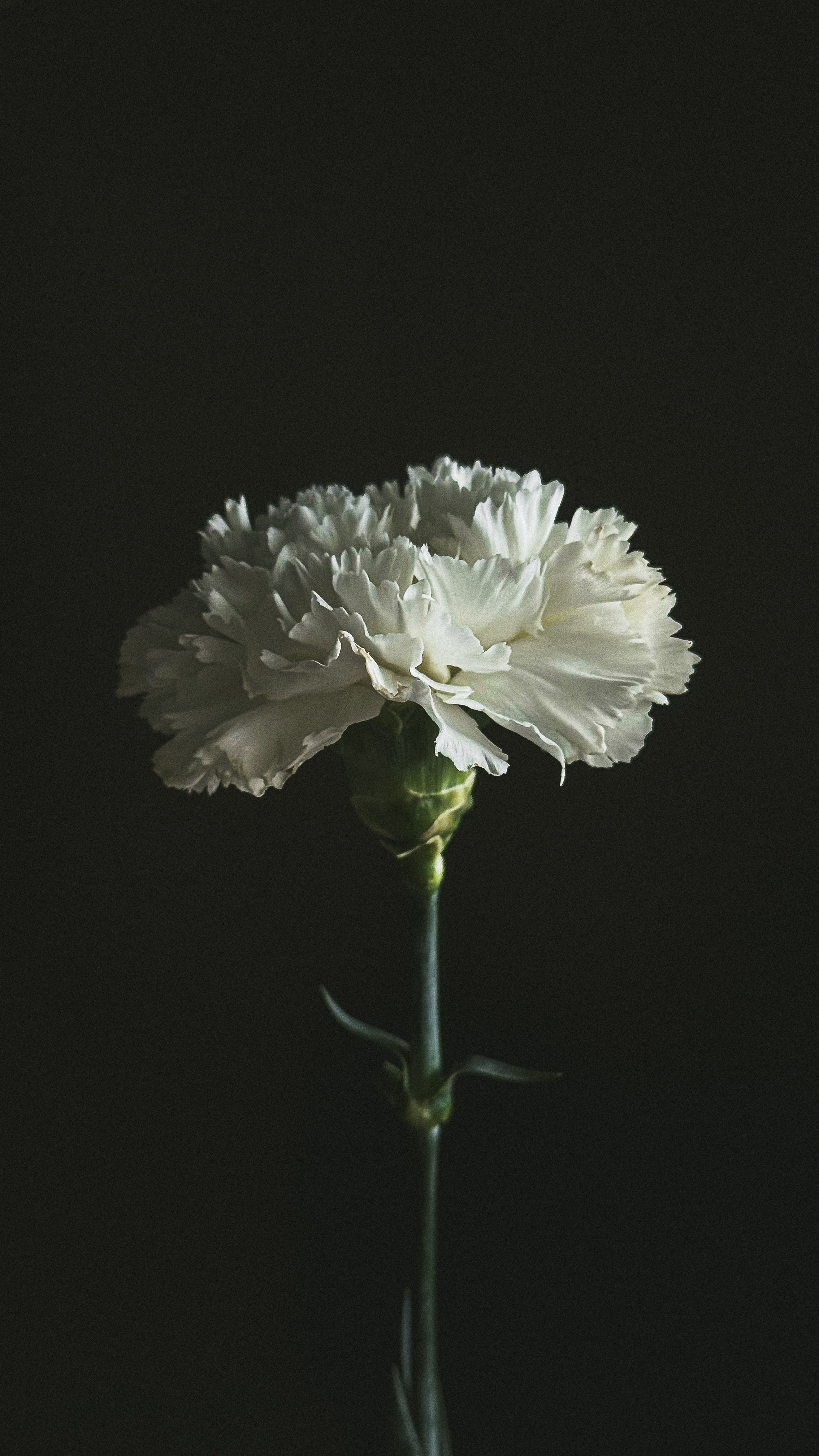 Все вокруг. Фотограф в Санкт-Петербурге / Красноярске Надежда Самошкина