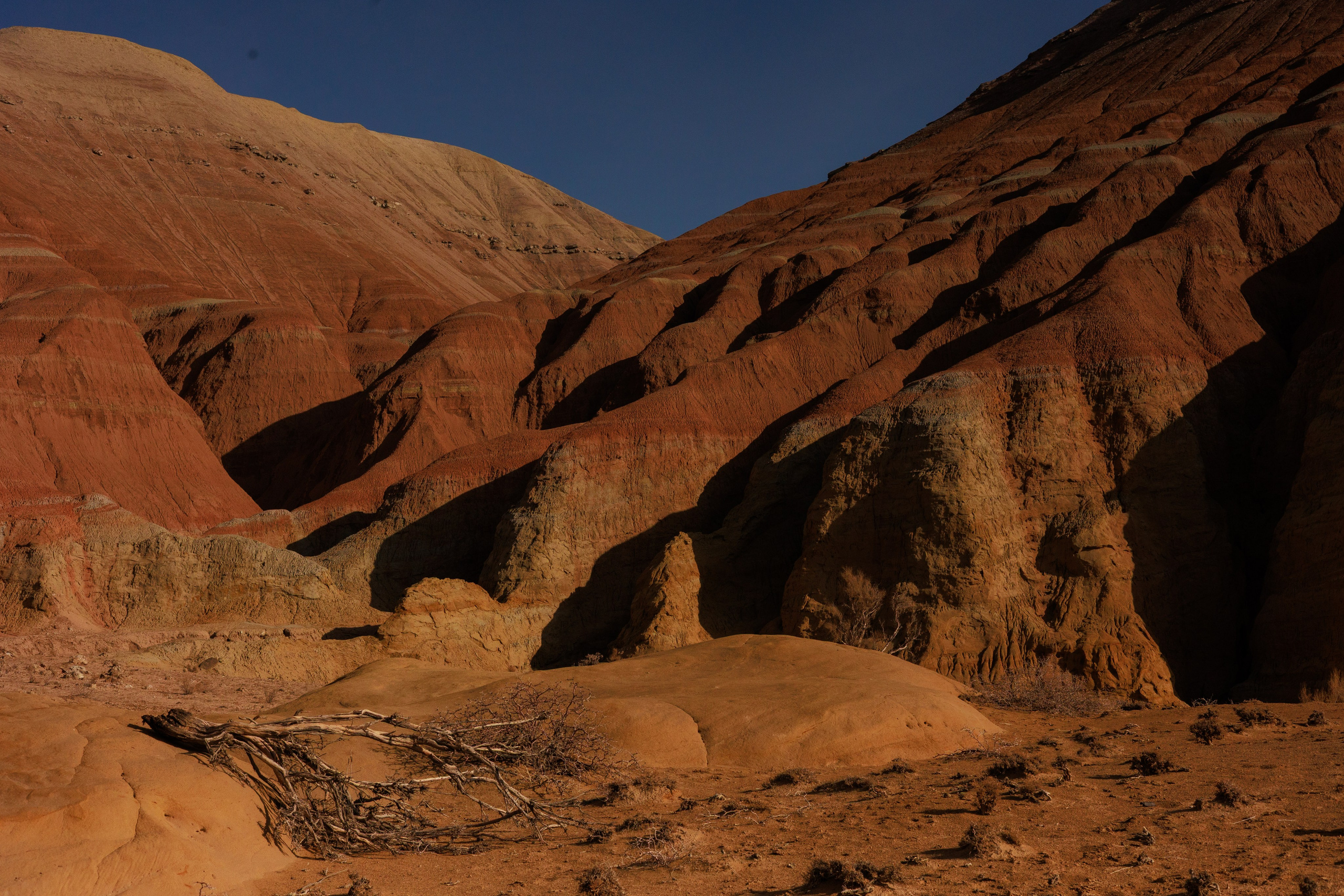 Алтын Эмель горы Актау. Фотограф Мальнева Юлия в Липецке, в Москве. Фотостудия MARU в Липецке