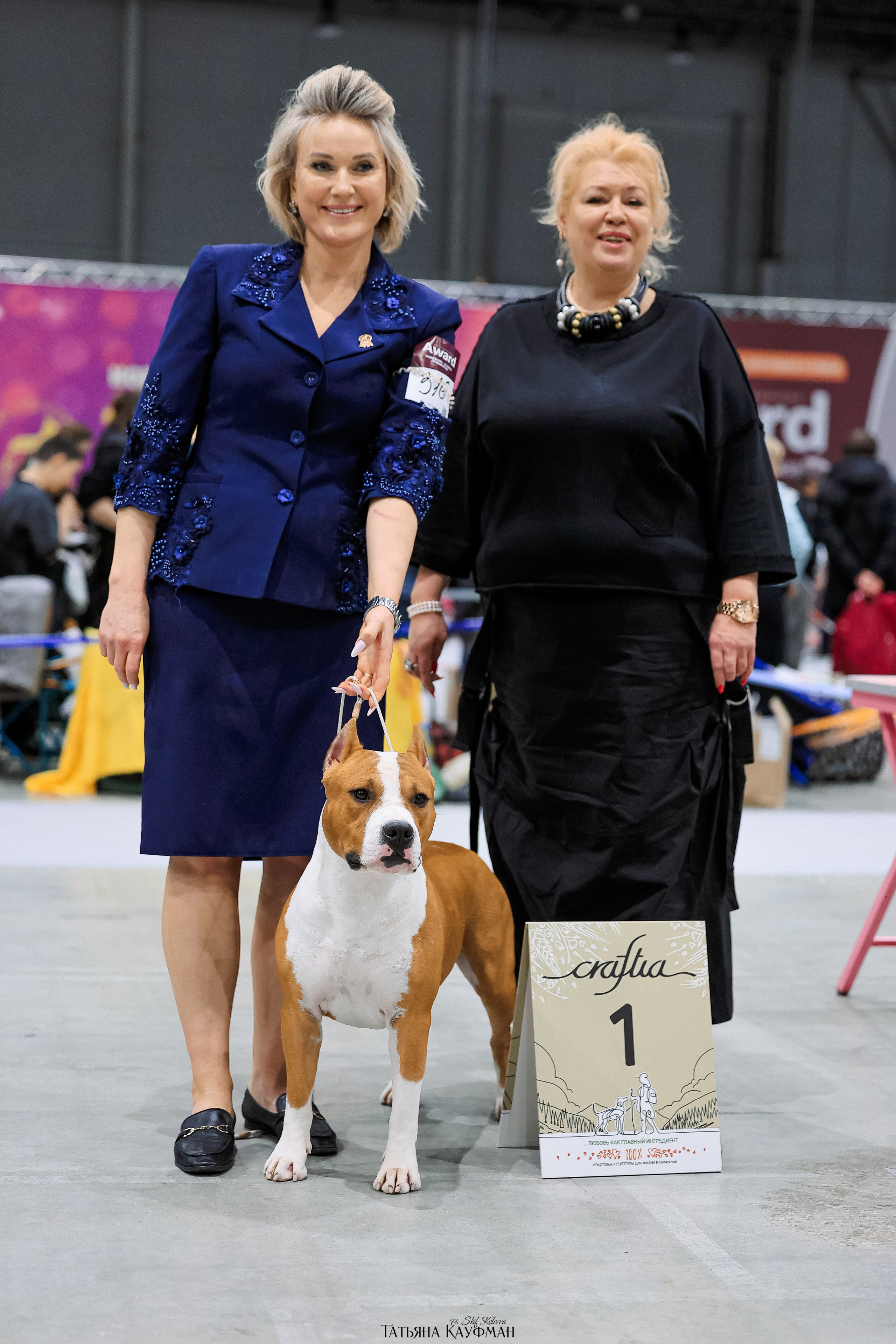 28-29.03.2026 Рейтинговая выставка в Новосибирске. Фотограф Анималист из Новосибирска Татьяна Кауфман