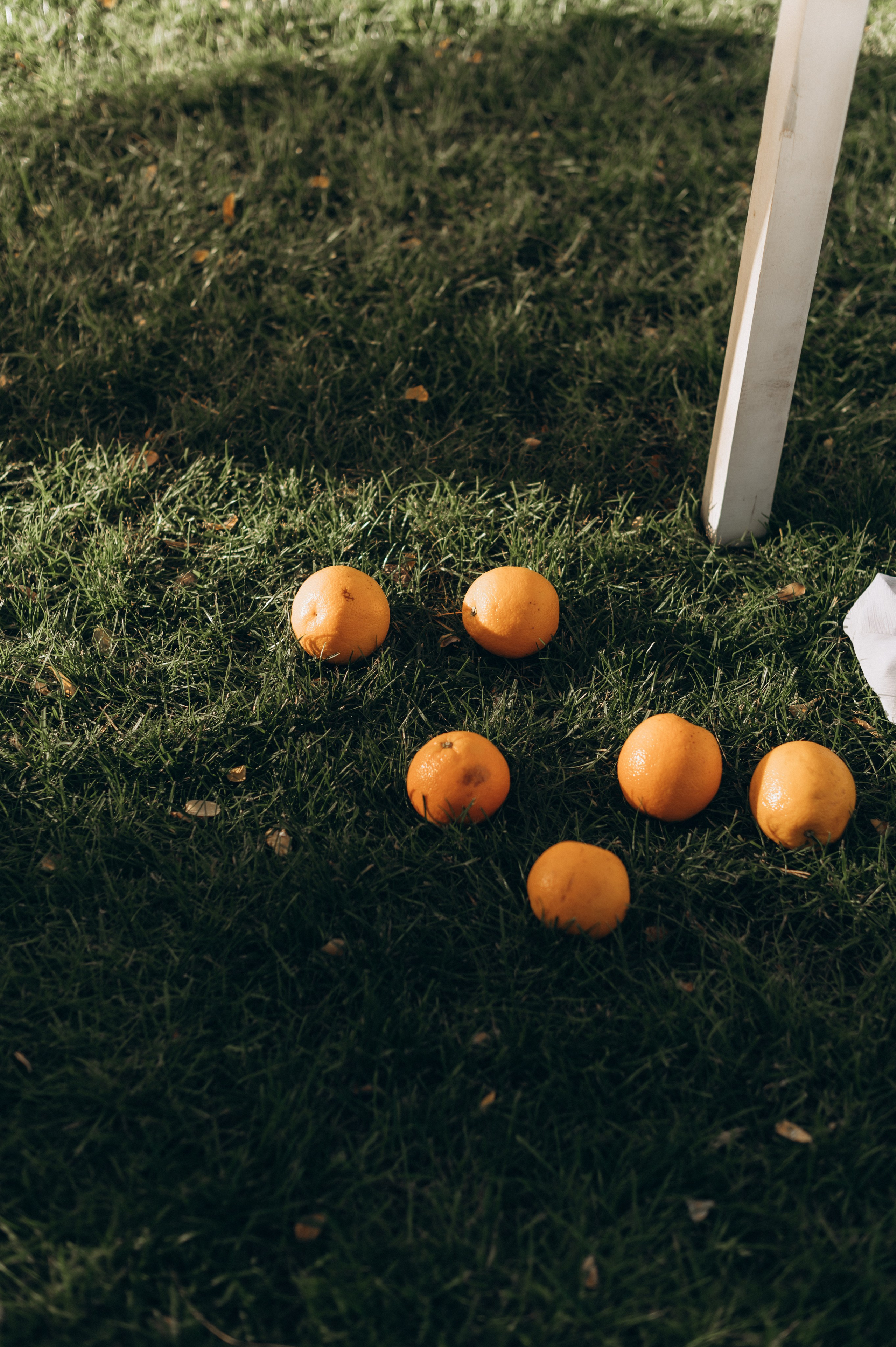 То, какой может быть ваша свадьба. Ирина Гонтарева|Фотограф|Белгород