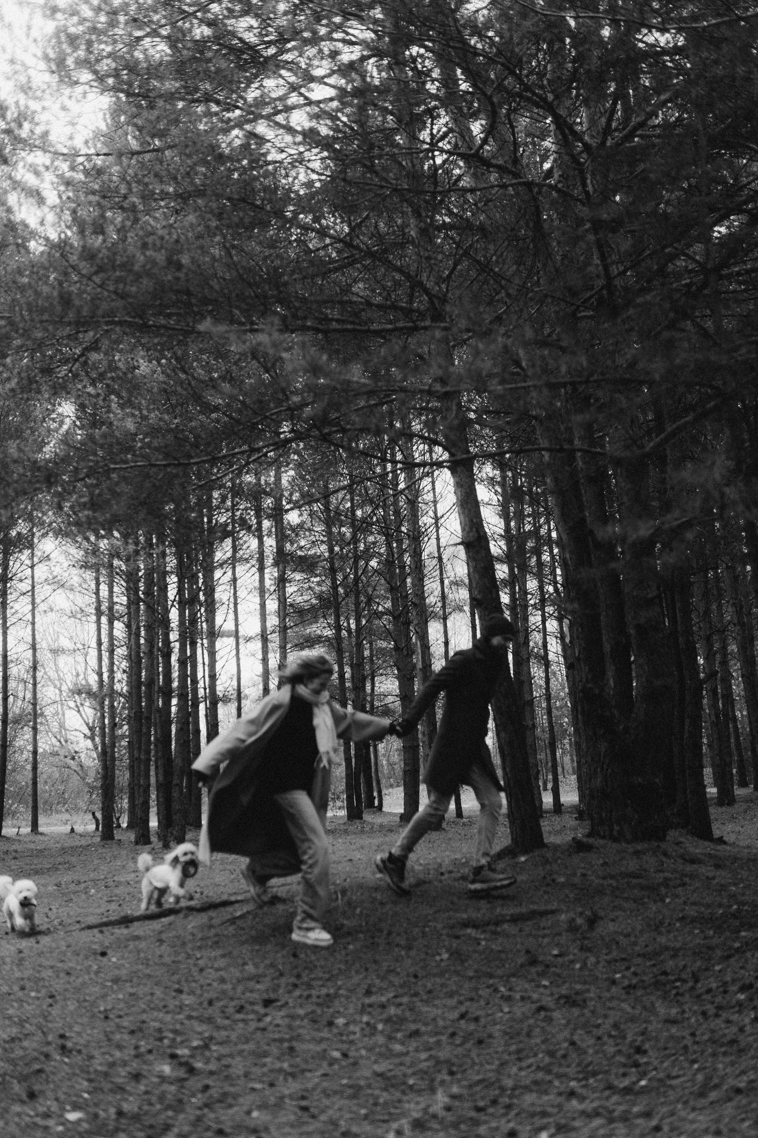 Лена & Миша. Фотограф НОГИНСК, Москва, Анастасия Белая