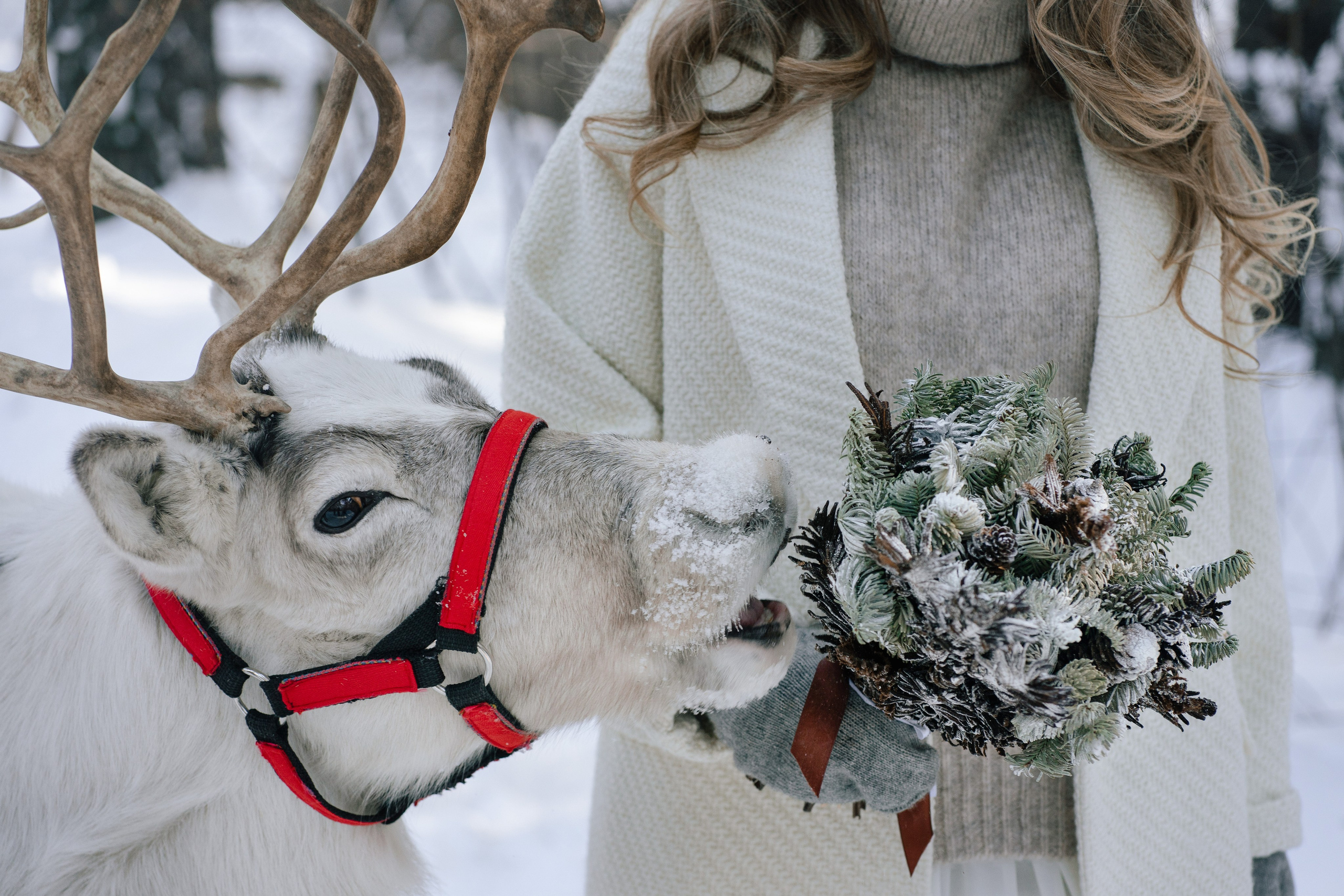 Артем & Кристина. Свадебный фотограф в Санкт-Петербурге — Евгения Лютоева