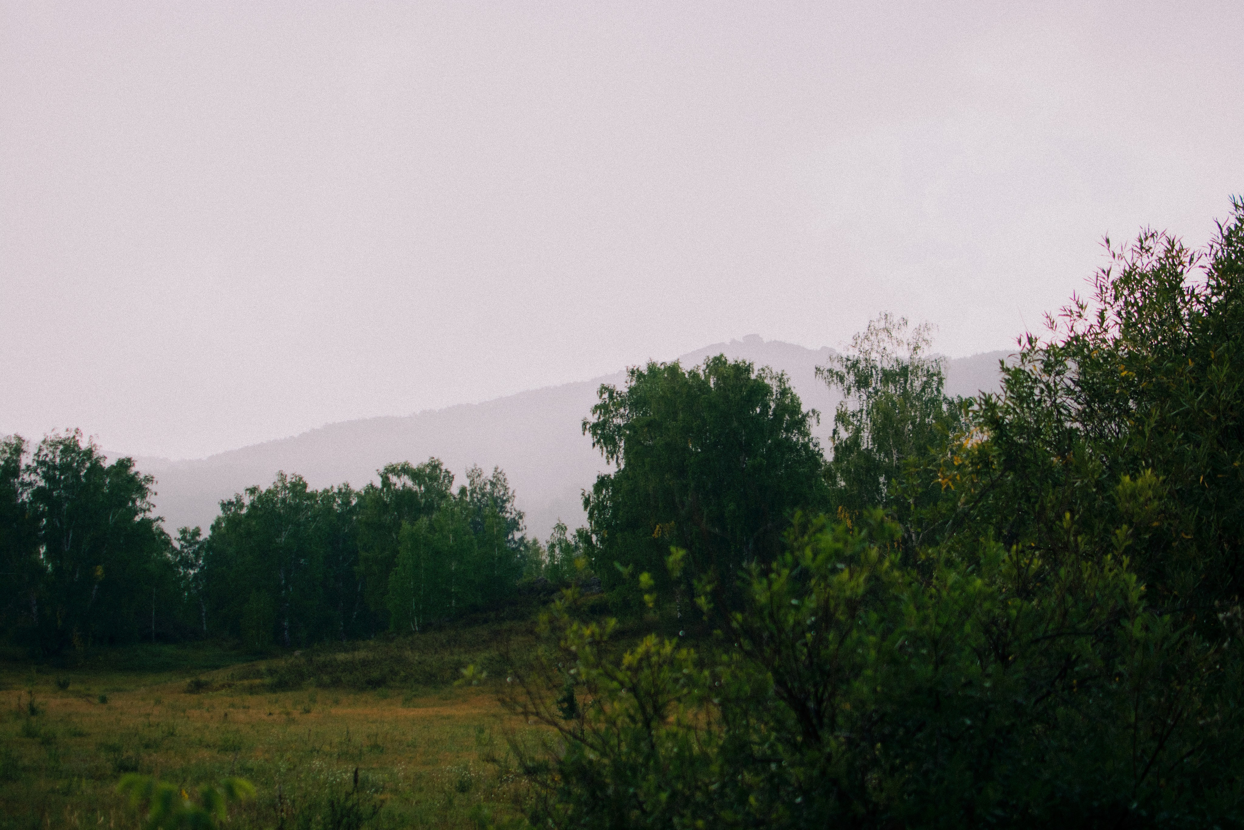 Маша. Денис Прохоров Фотограф в г. Магнитогорск