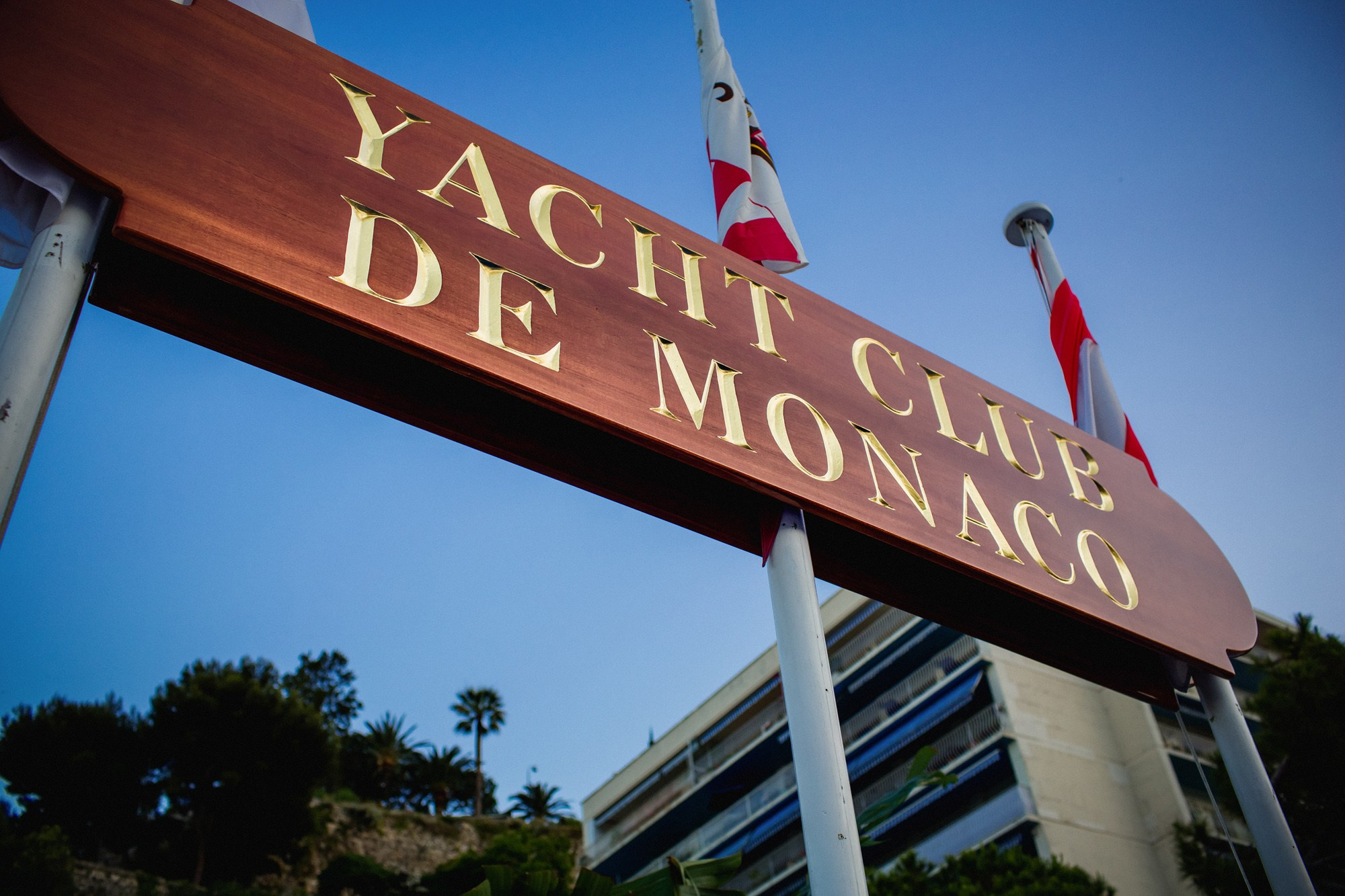 Report VIII. Veedoff