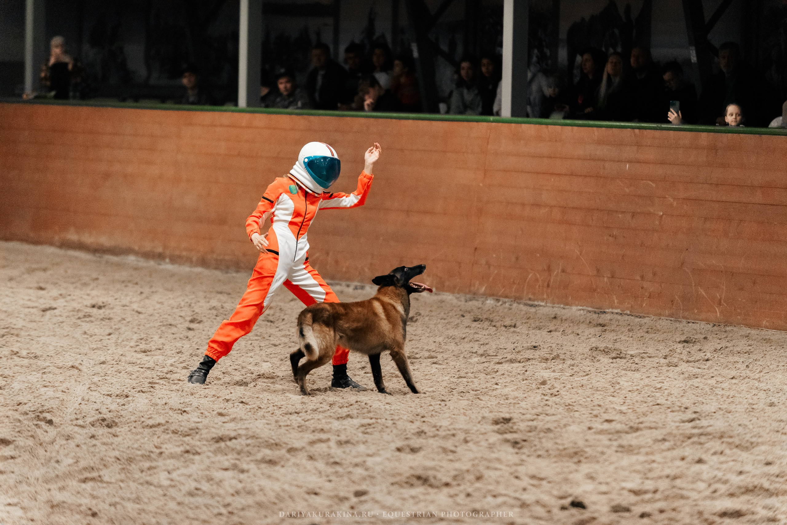 Конное представление «Дыхание Звёзд». Конный фотограф Куракина Дарья • Фотосессии с лошадьми