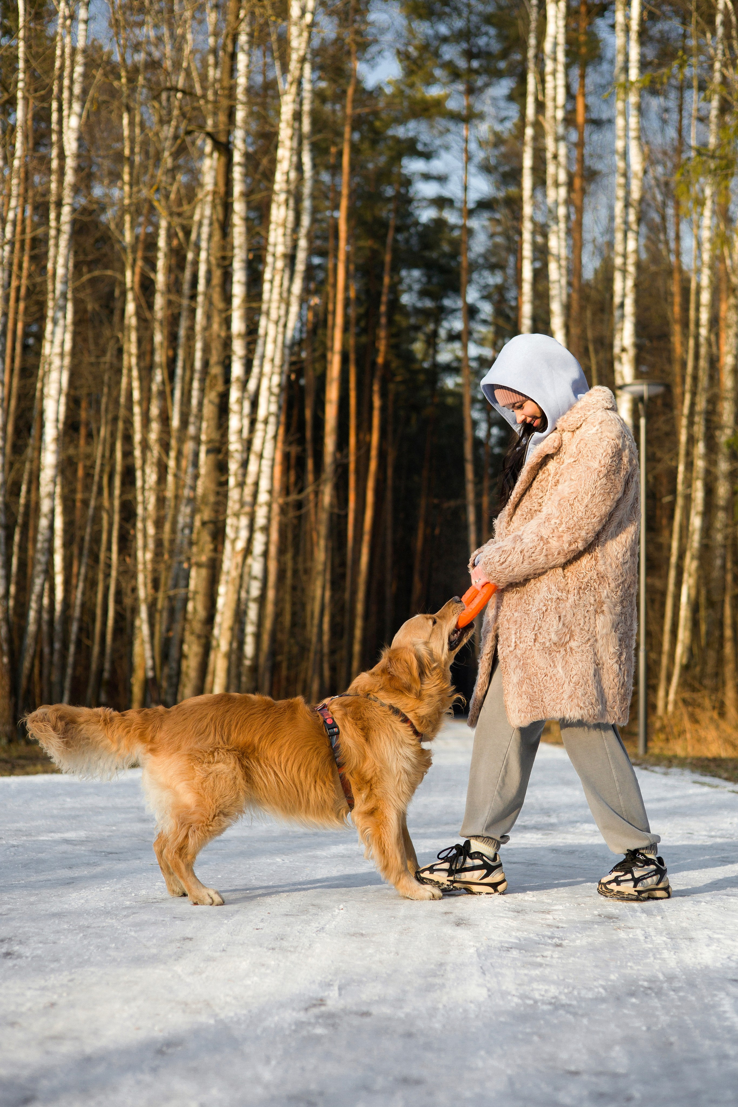 Лёва и Катя. Фотограф-анималист Ксения Шевцова|Москва