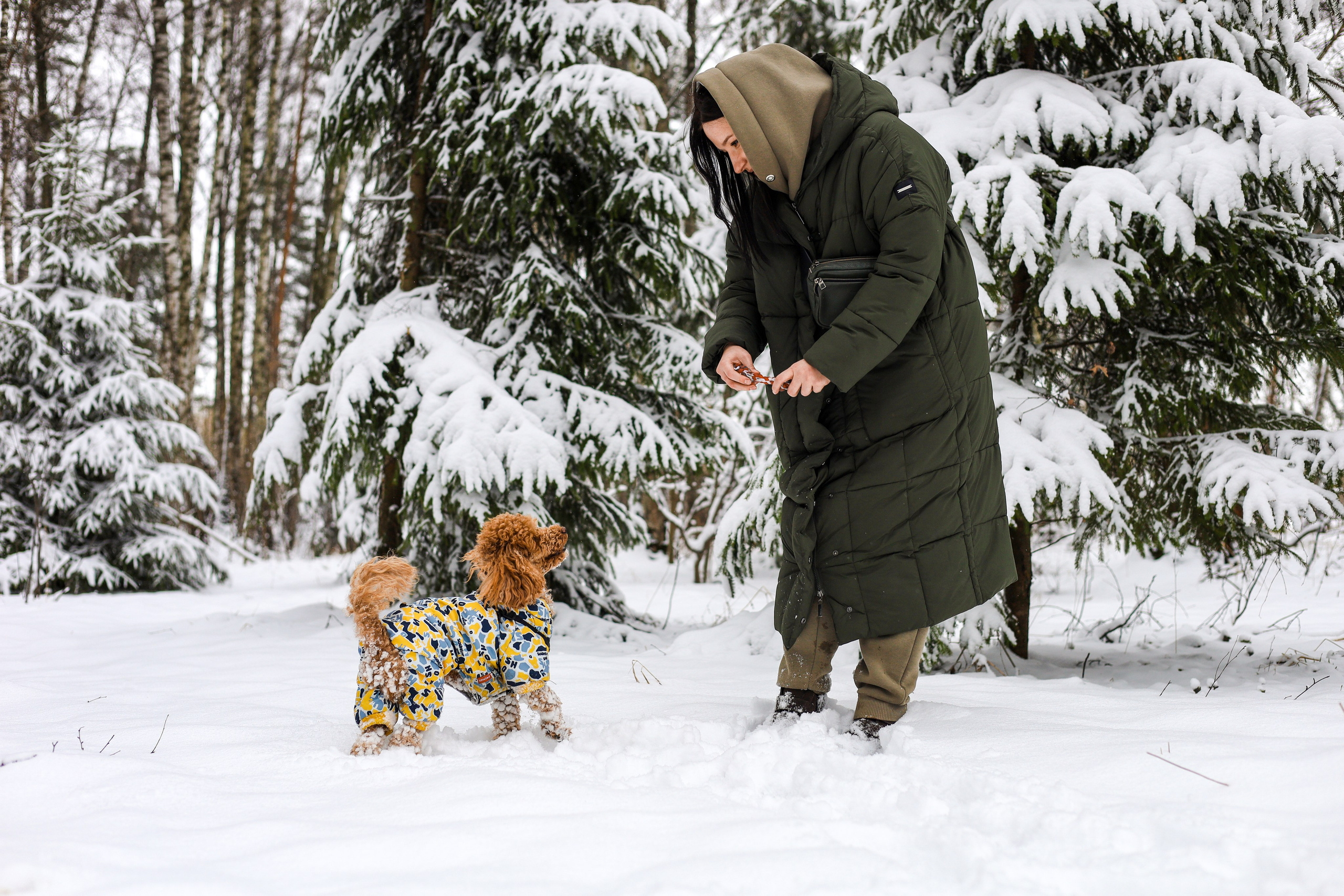 Муд и Леся. Фотограф-анималист Ксения Шевцова|Москва