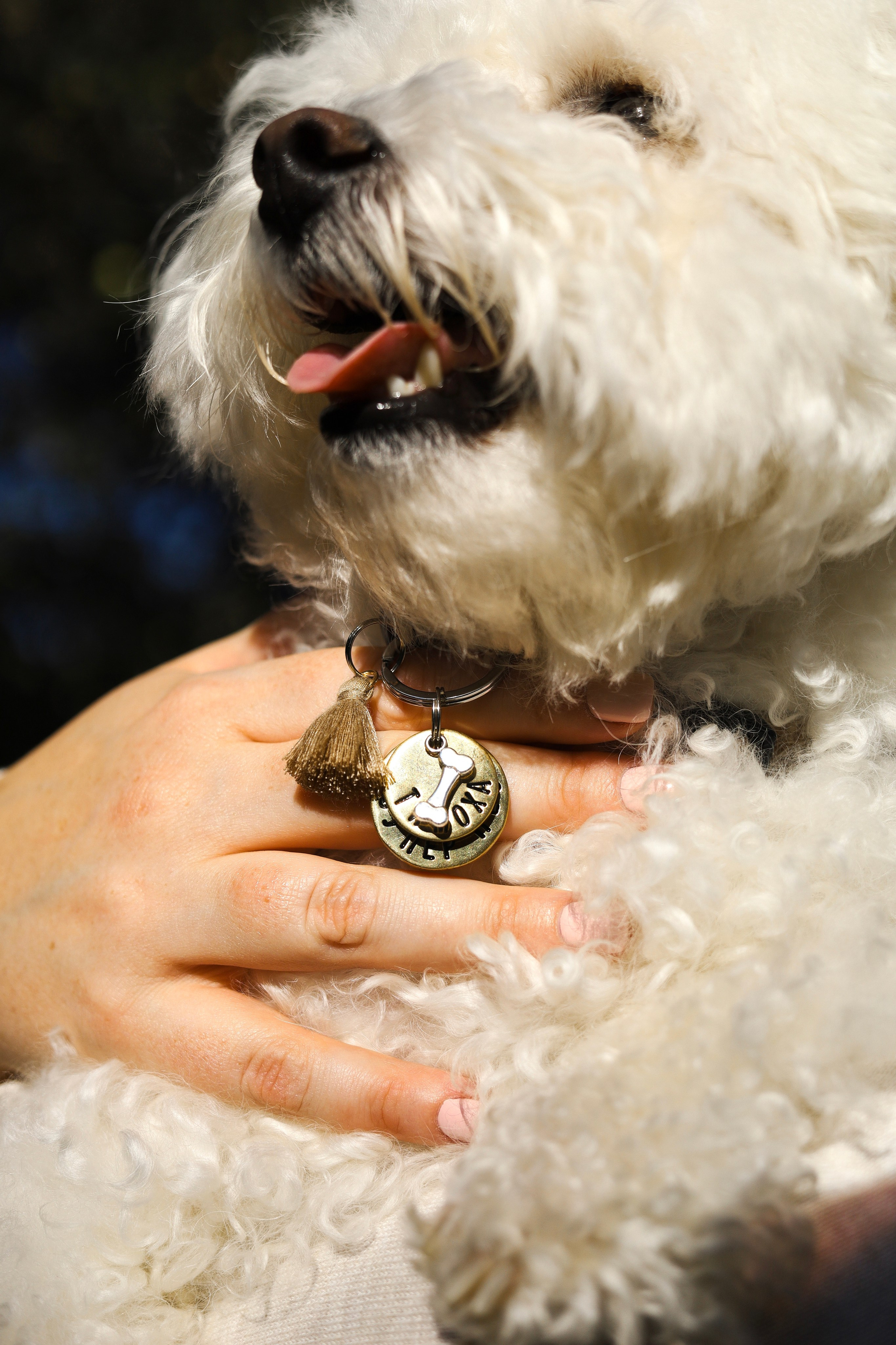 Тимоша, Катя и Вова. Фотограф-анималист Ксения Шевцова|Москва