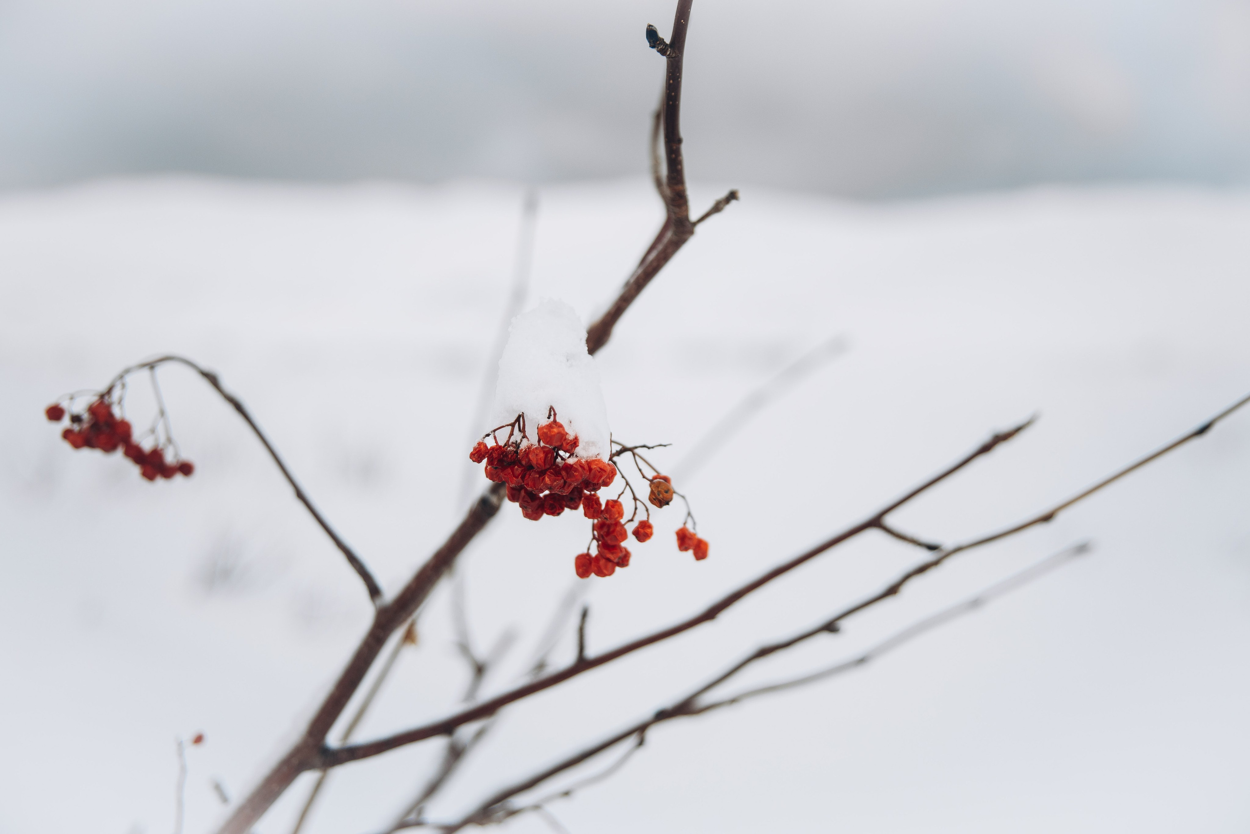 Териберка, Мурманск, Россия 🇷🇺. Anita_photo