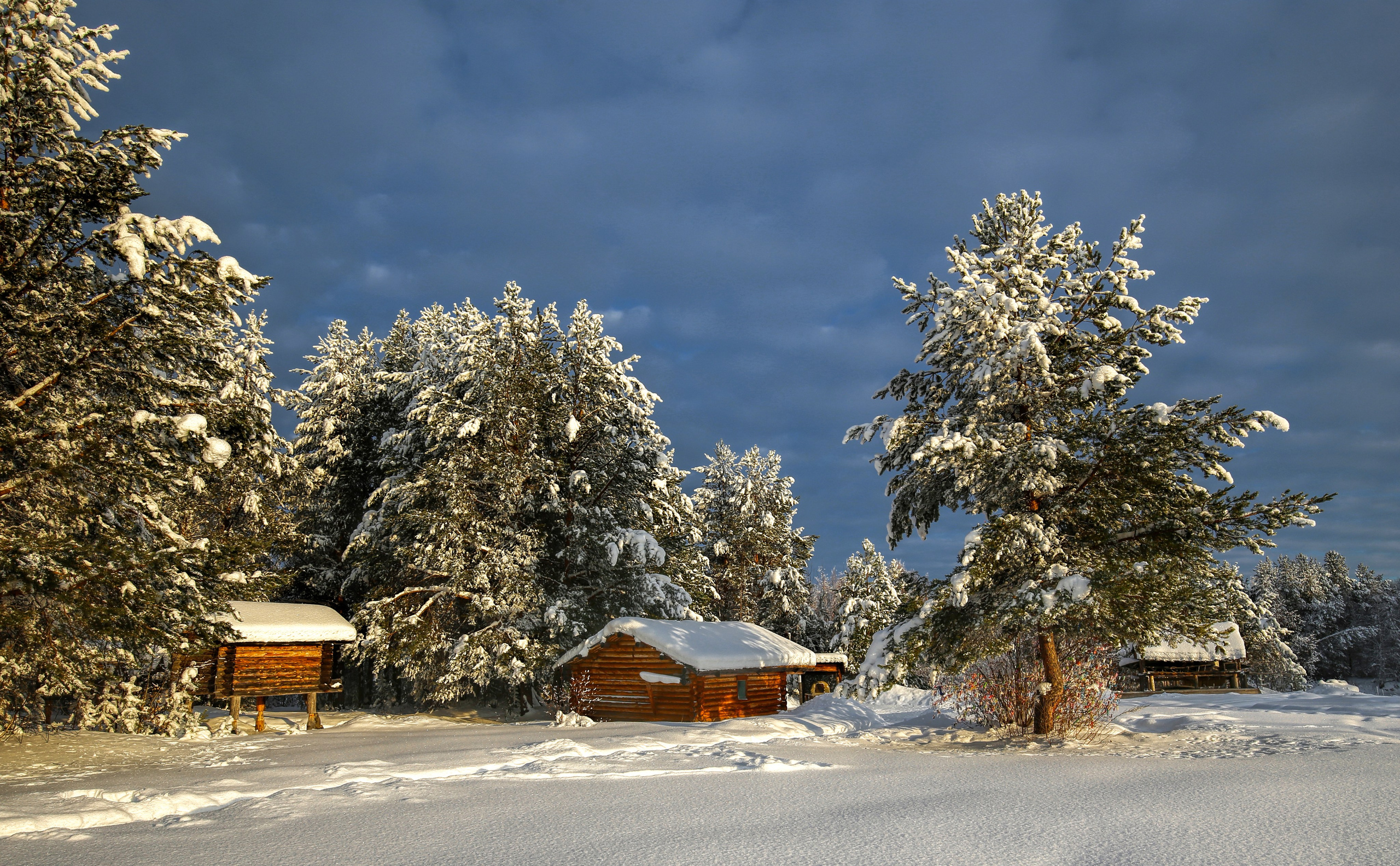 ПЕЙЗАЖИ. Фотограф Татьяна Борисова