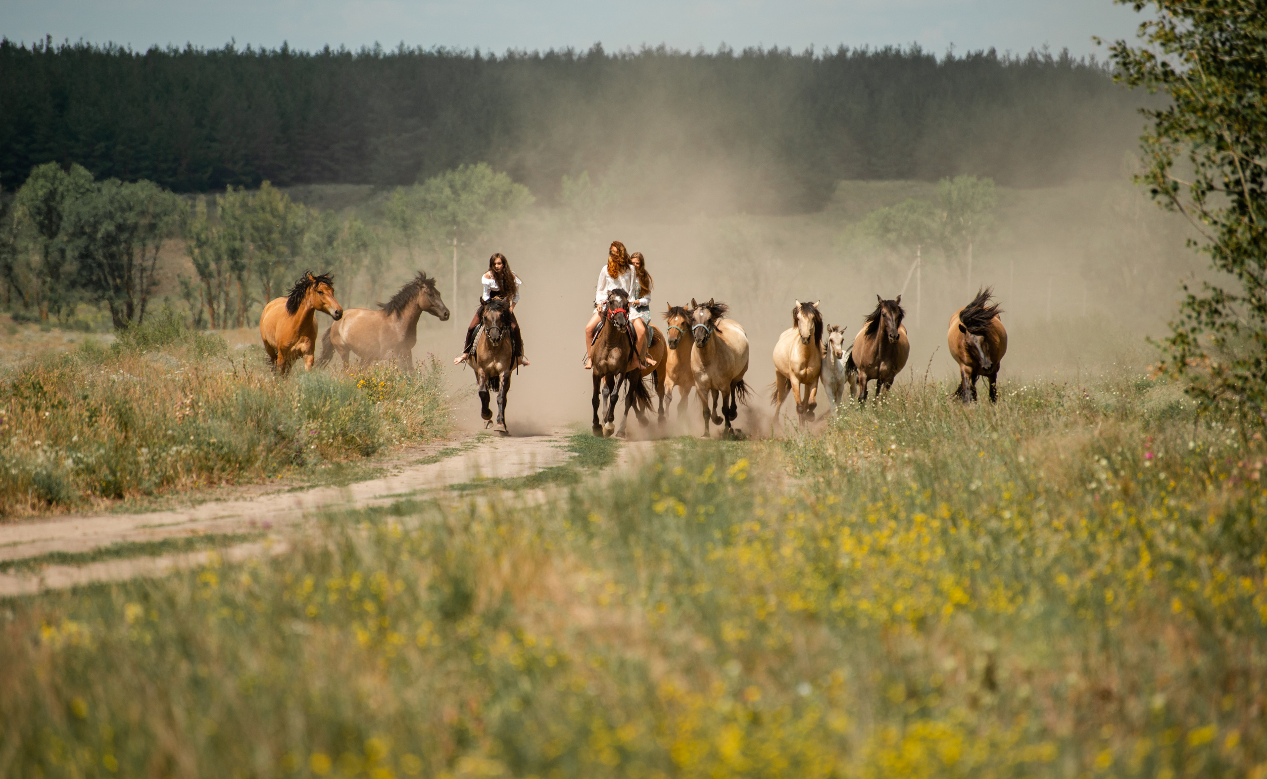Купала в Родославном. Конный фотограф в Саратове Юлия Иванова