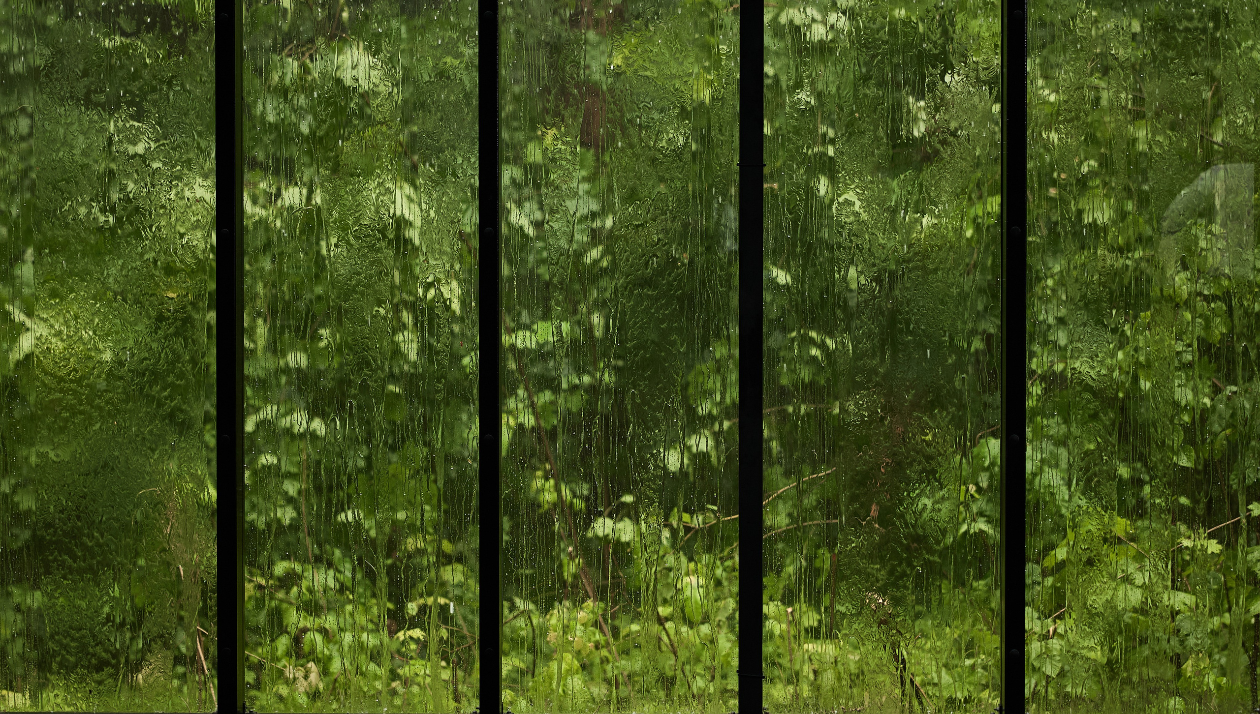 Максим и Софья. Kharchenkotatianaweddingphoto