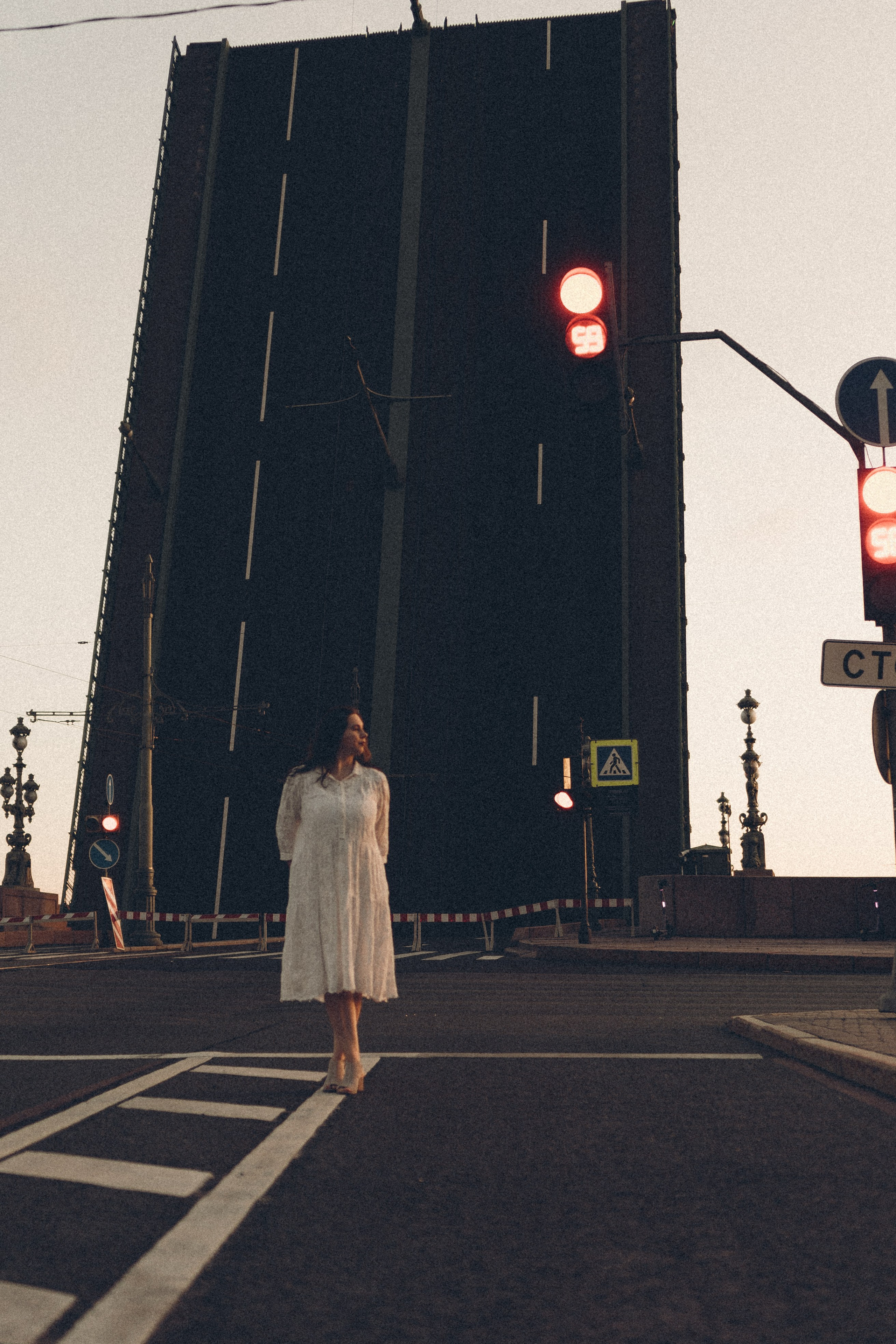 РАССВЕТ С РАЗВОДНЫМИ МОСТАМИ. Профессиональный фотограф, Санкт-Петербург — Виктория Богомолова