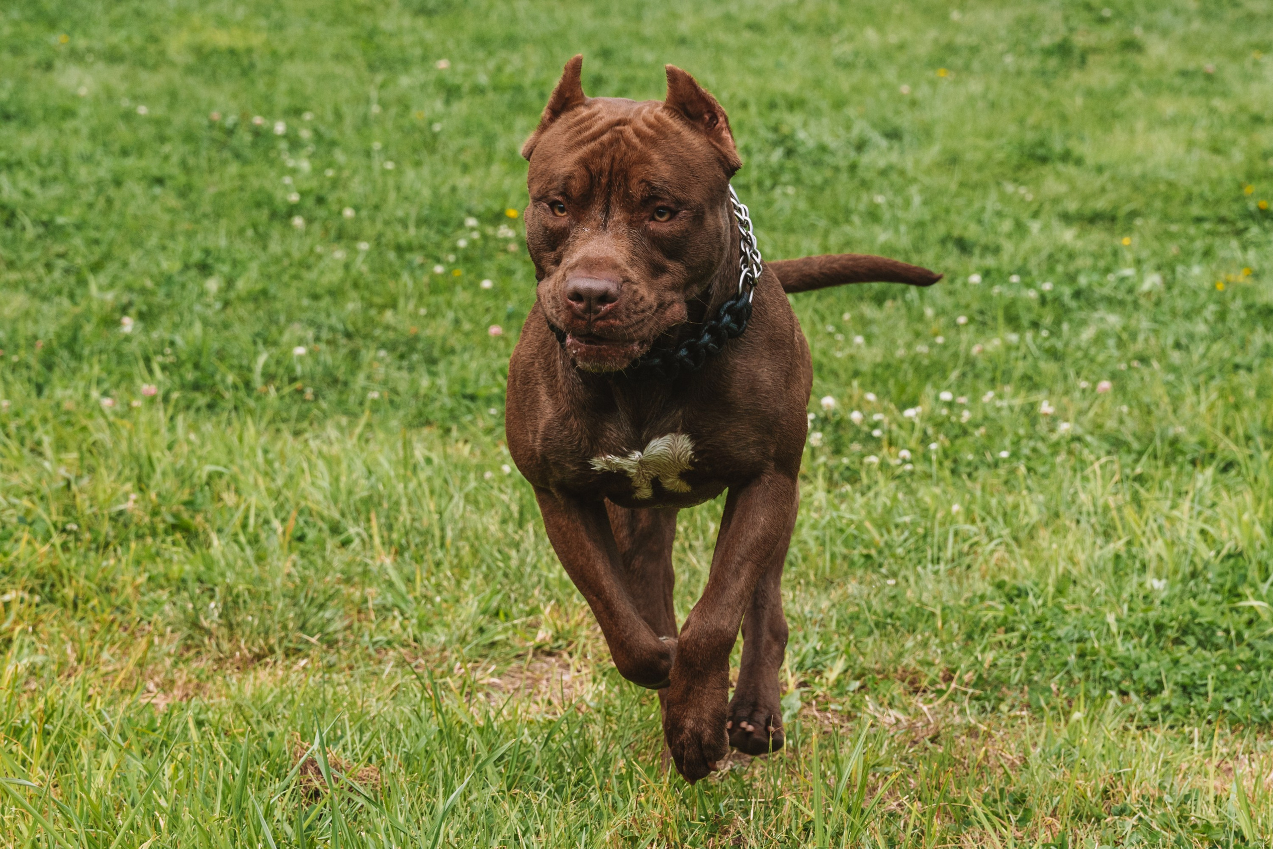 Лав стори фотограф Санкт-Петербург. Свадебный, семейный, портретный, репортажный фотограф в Санкт-Петербурге