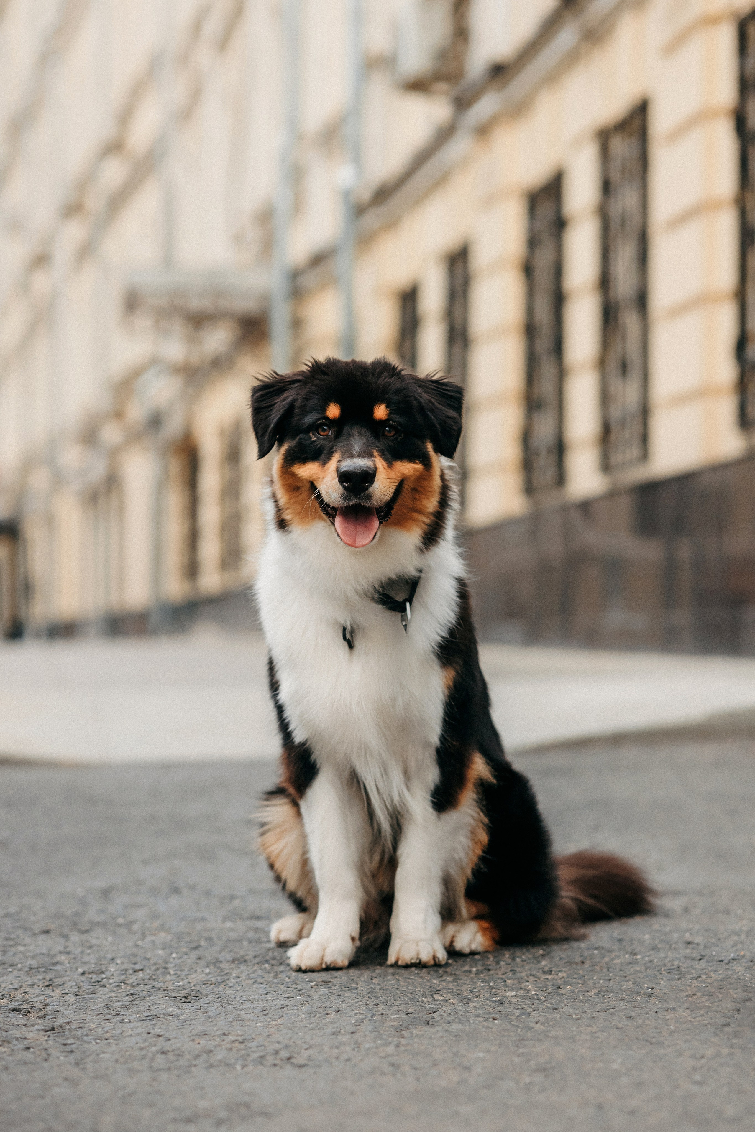 Лена и Рэй. Фотограф-анималист Елена Радченко, Москва