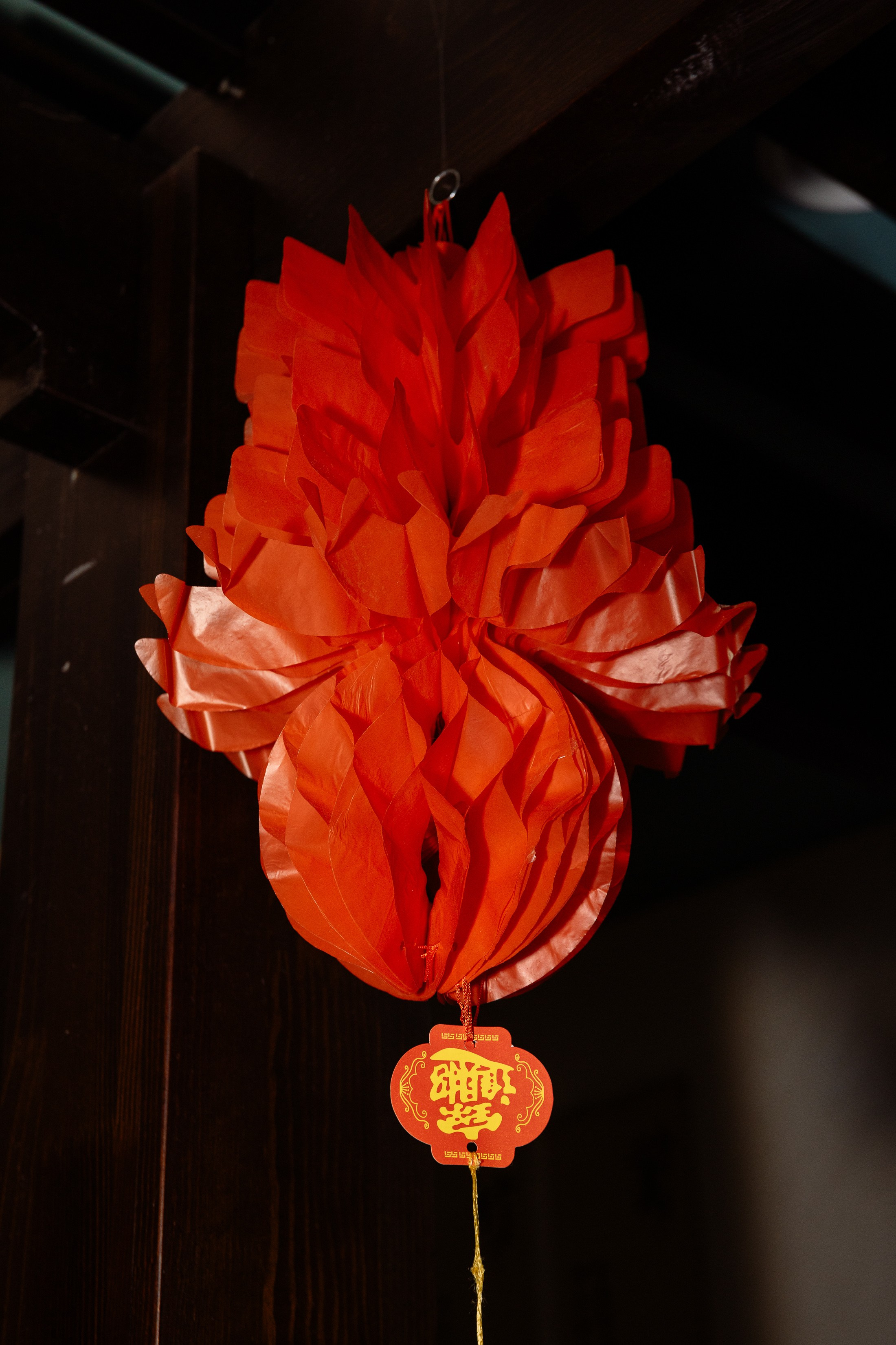 Вечеринка в кафе Sinlun. Фотограф Юлия Мальцева