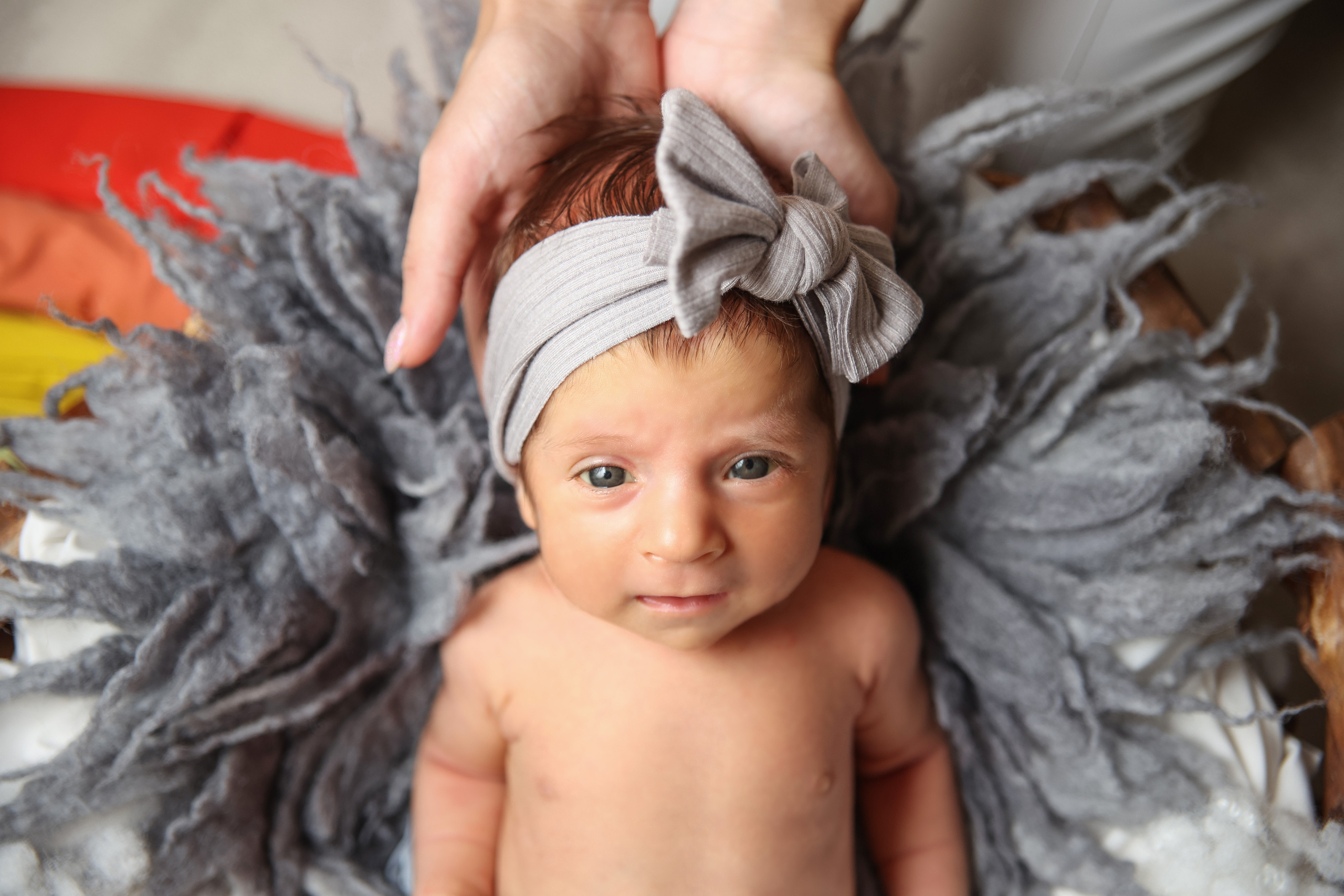 НОВОРОЖДЕННЫЕ до месяца. Мишугина Ольга Фотограф новорожденных, семейный и детский фотограф