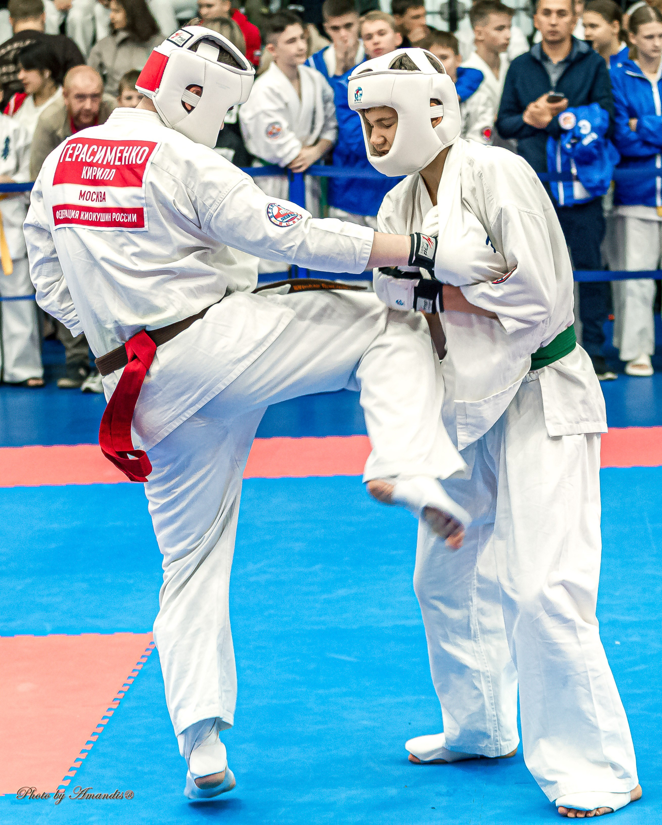 Чемпионат по Киокушинкай Центрального Федерального округа. Репортажная съемка в Москве и области. Анималистика