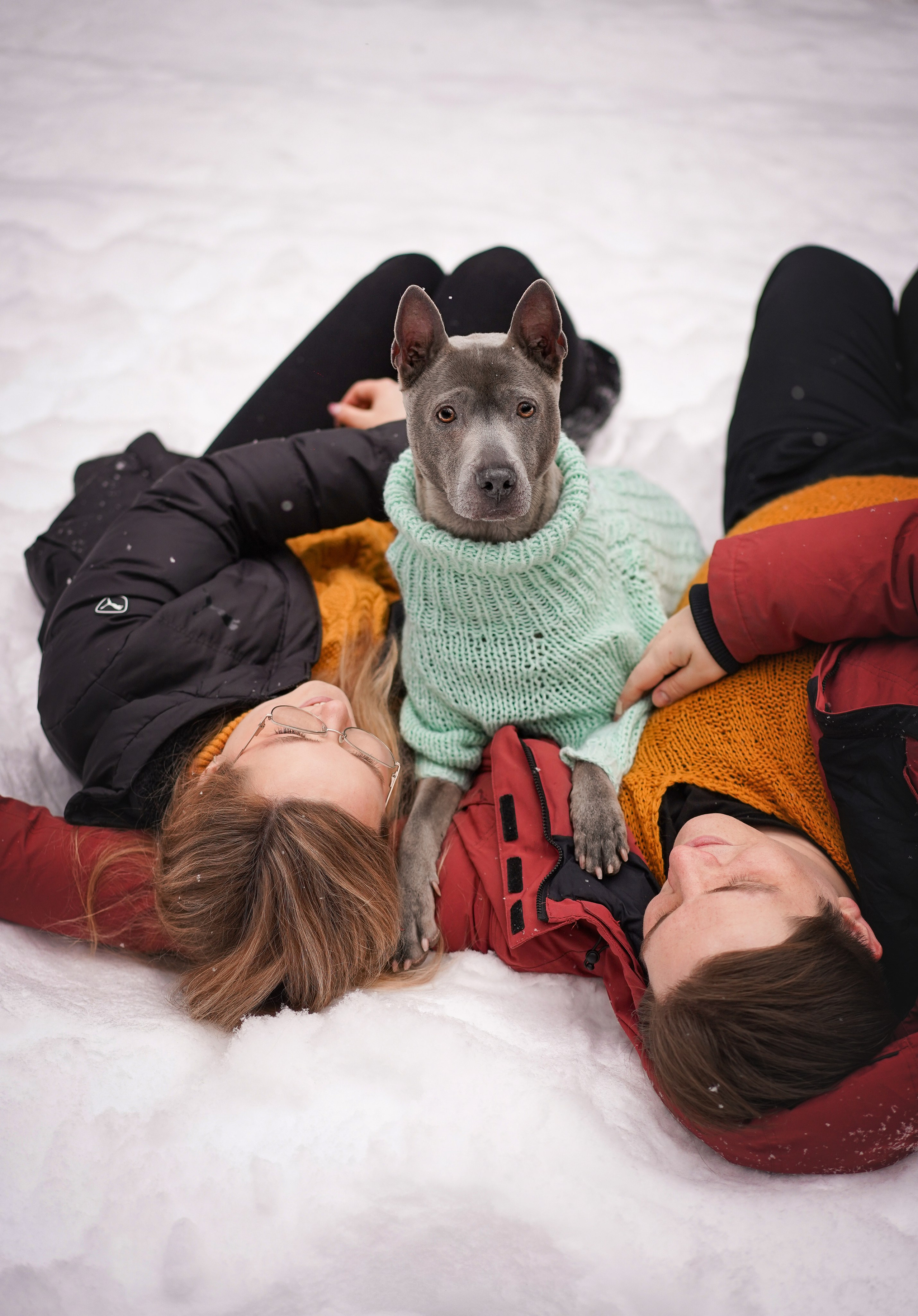 Даша Илья Вениамина и Мэдиссон. Фотограф-анималист в Санкт-Петербурге Яна Мартынова