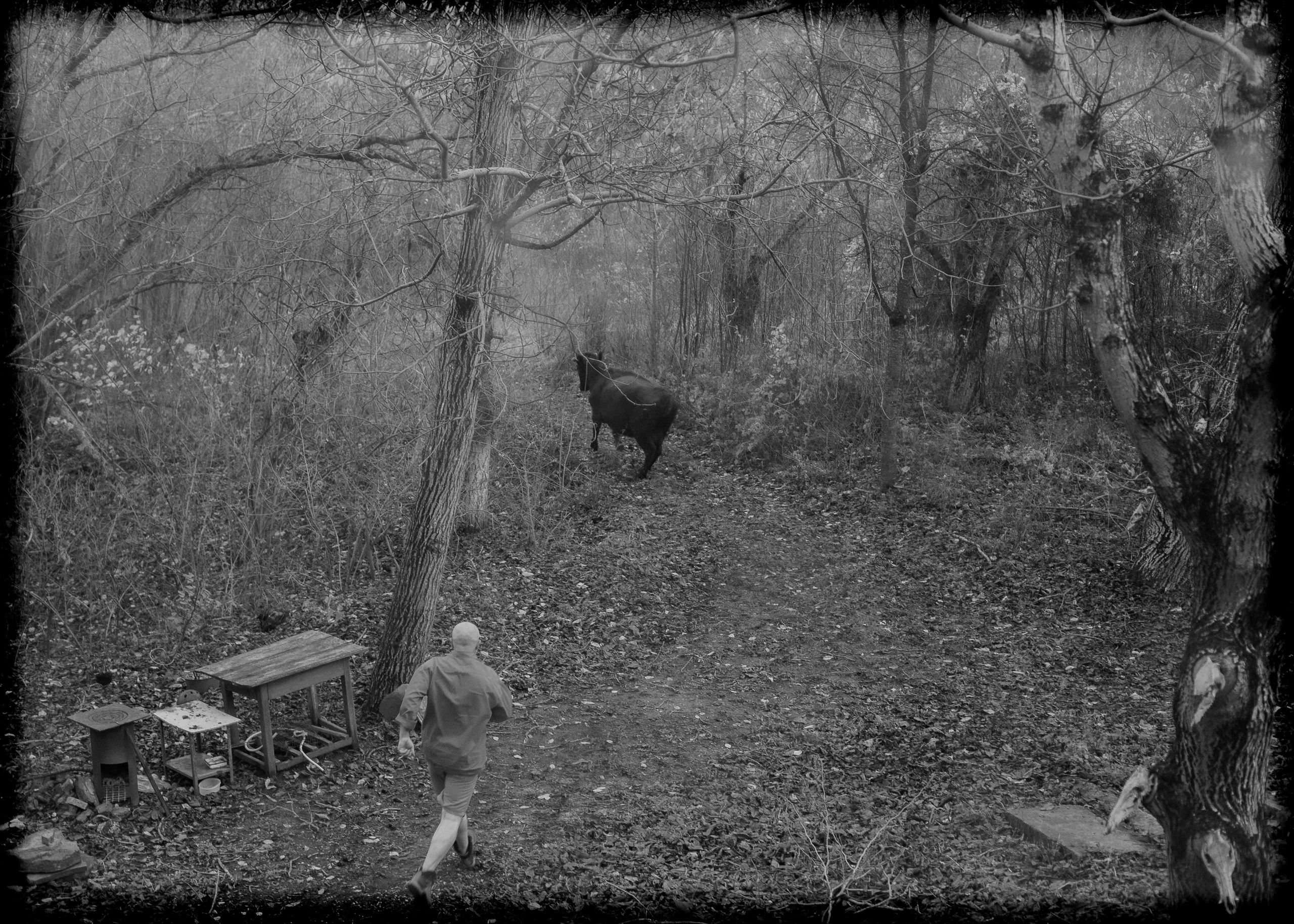 (YarOman) Жизнь в лесу. Фотография, как она есть