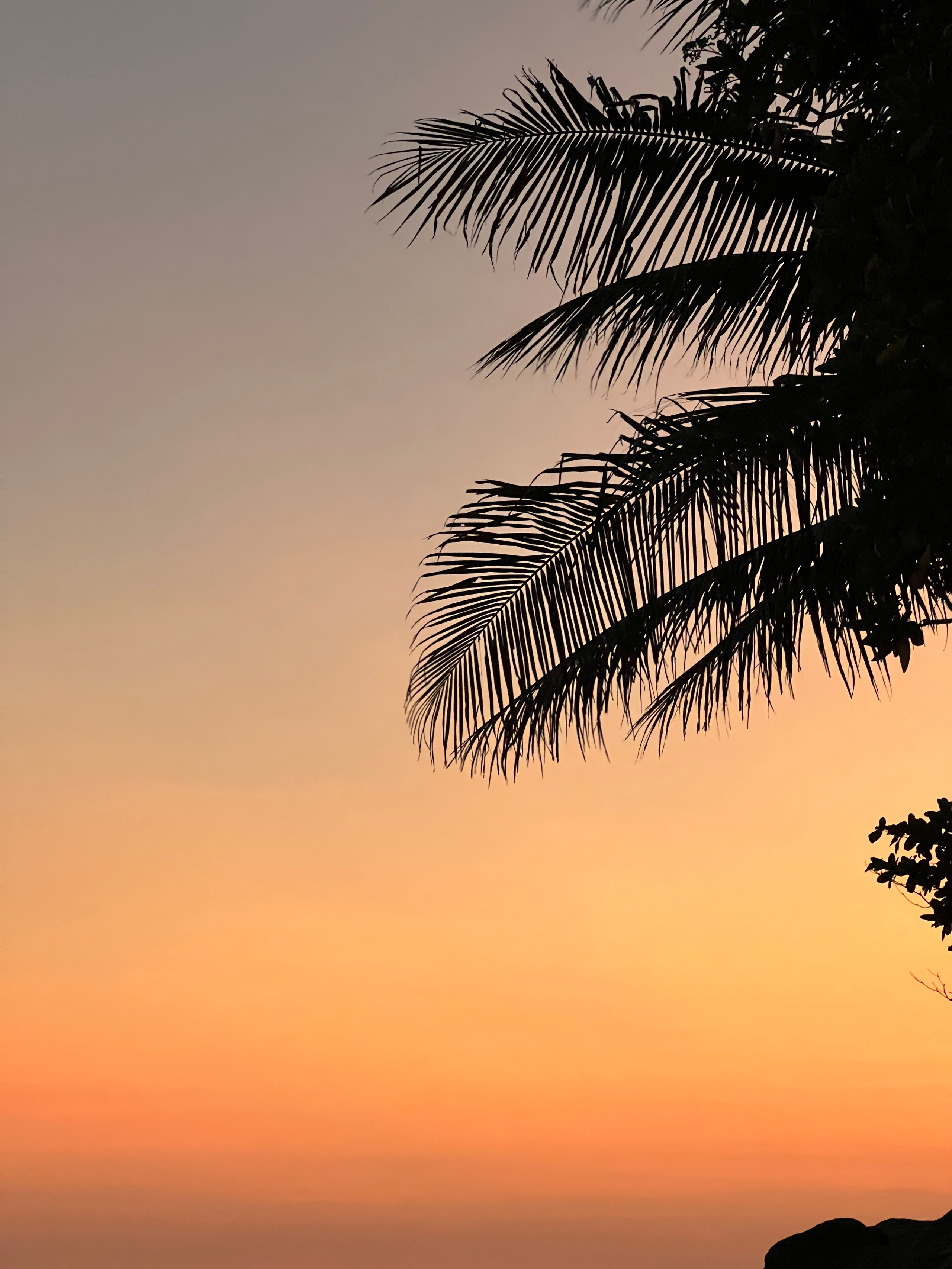 Thai. Фотограф Видеограф