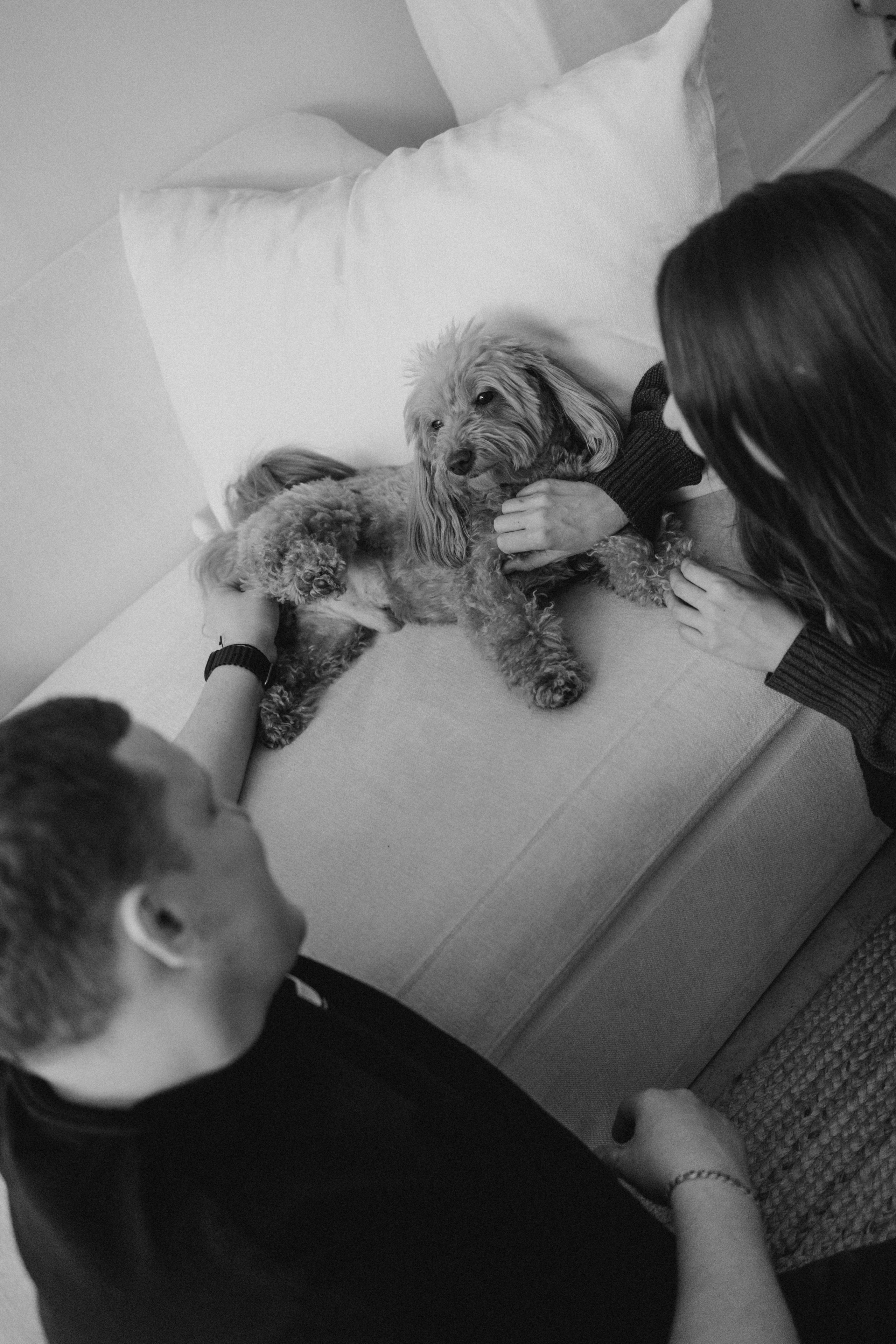 Шкипер и его семья. Фотограф — Анималист | Санкт-Петербург