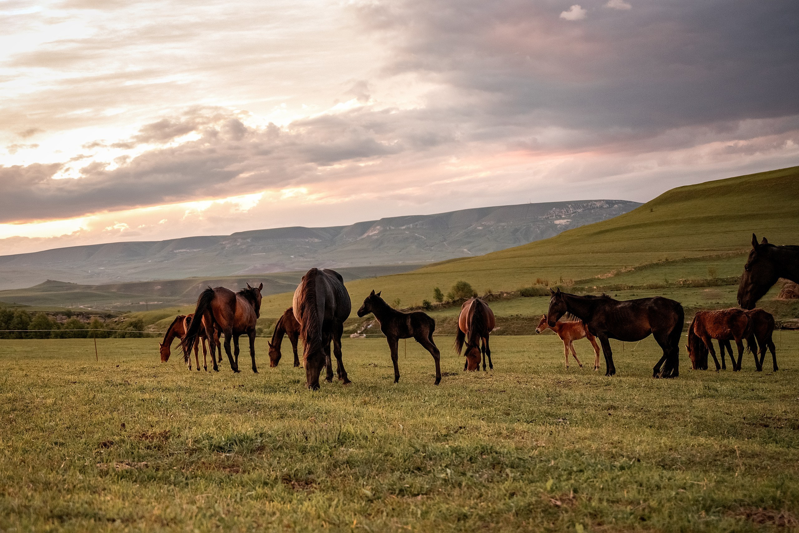 Майское закатное. BrisArts
