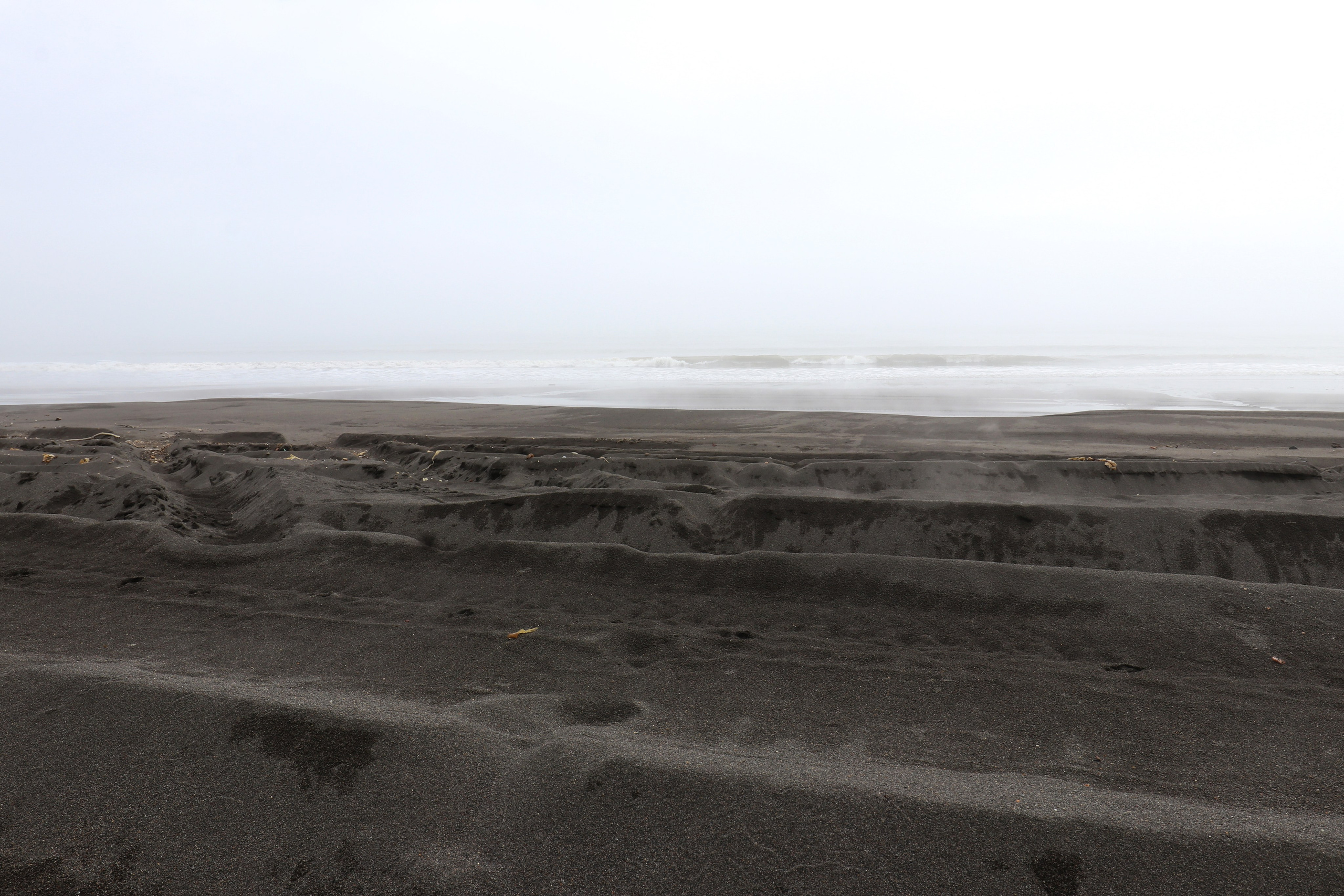 Камчатка и о. Парамушир. Июль 2024. Путешественник-фотограф из Санкт-Петербурга Татьяна Свистулина