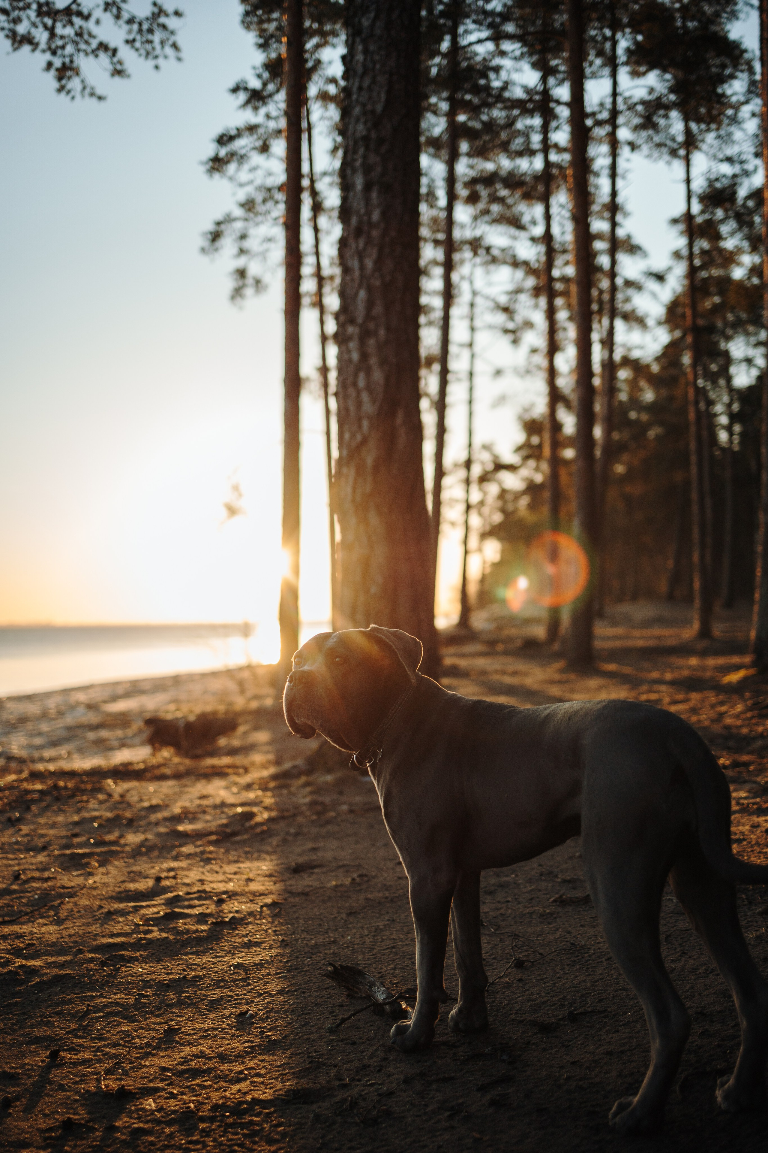Анна и Лана. Фотограф — Анималист | Санкт-Петербург