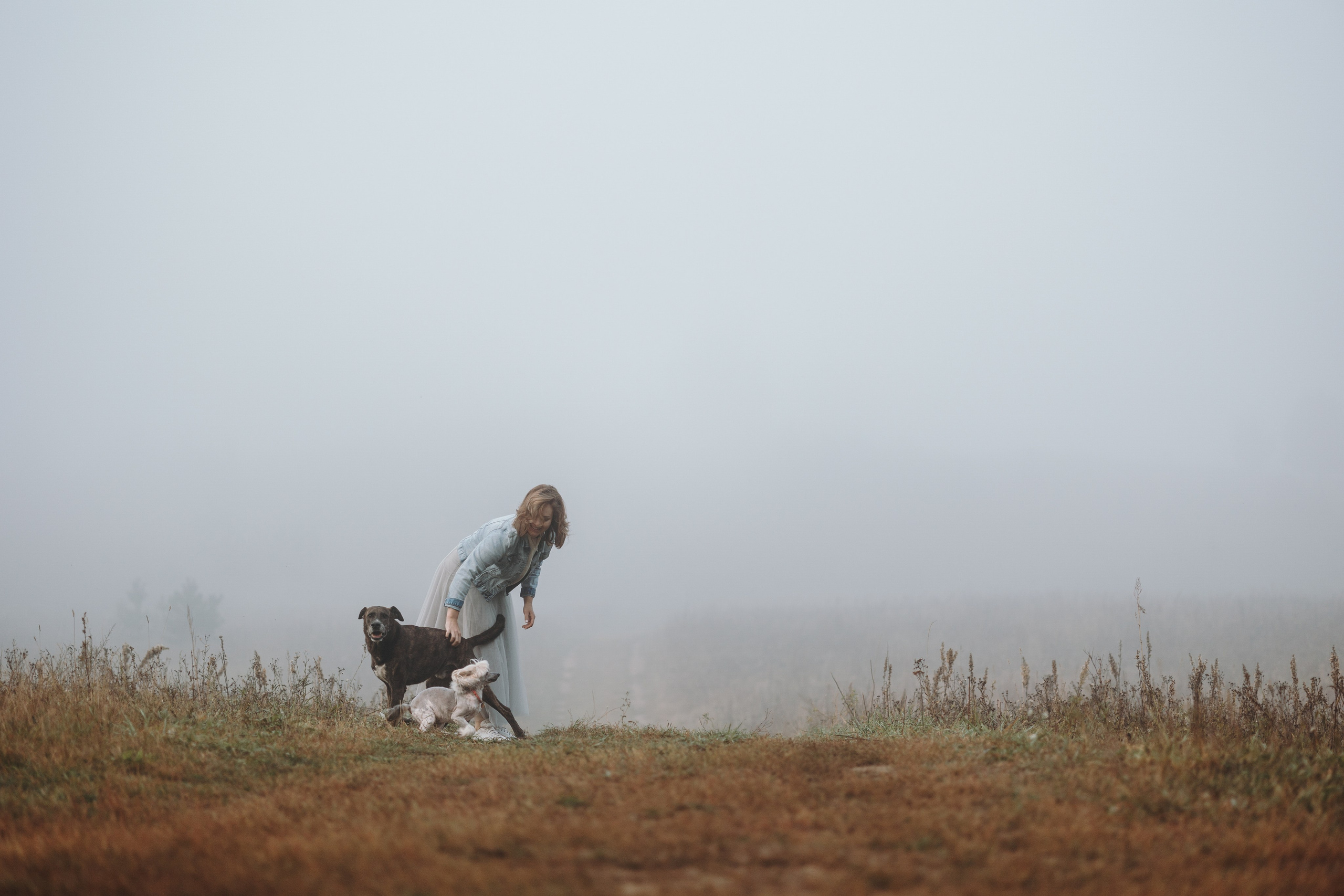 Любовь и ее хвостики. Фотограф — Анималист | Санкт-Петербург