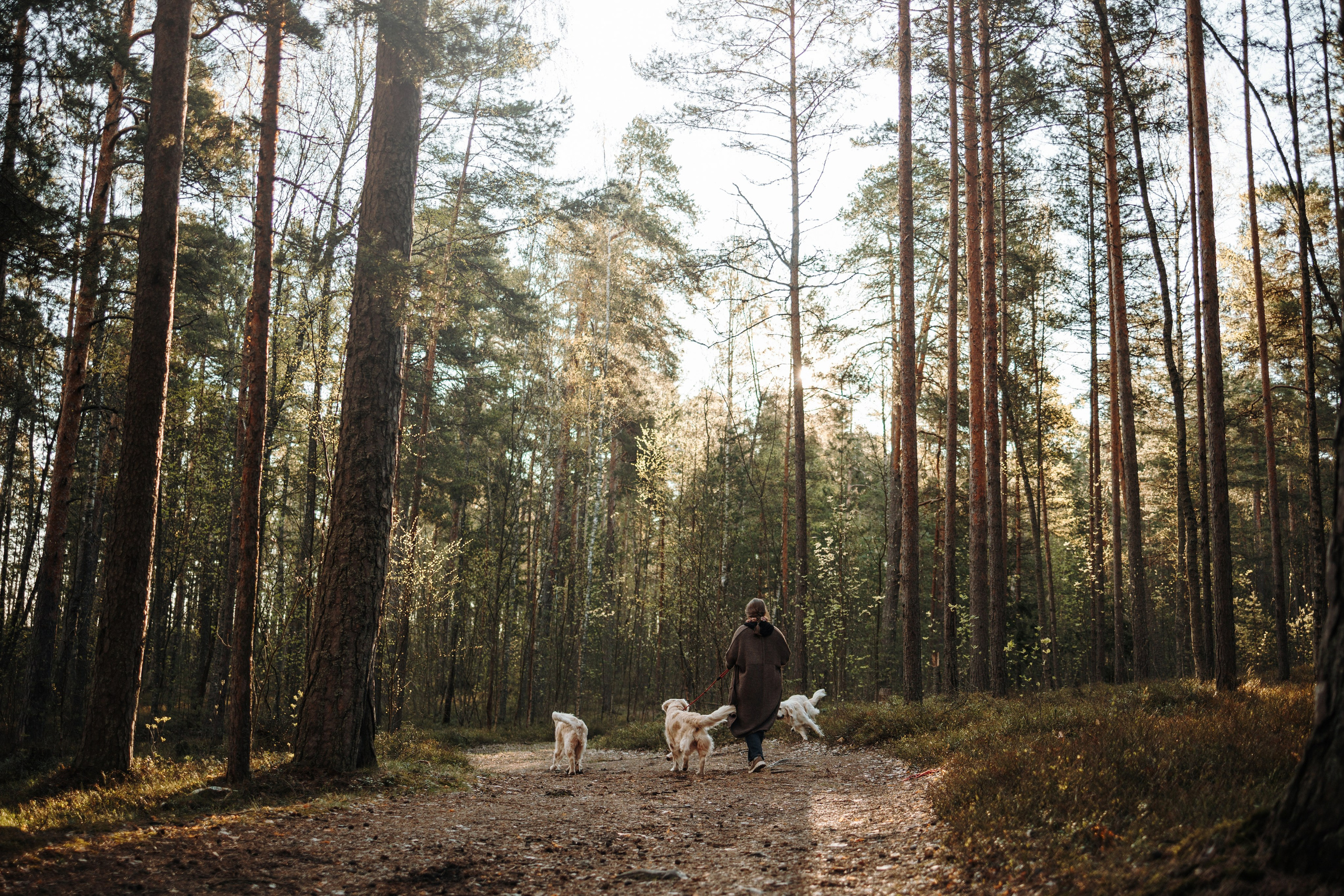 Катя и ее девочки. Фотограф — Анималист | Санкт-Петербург