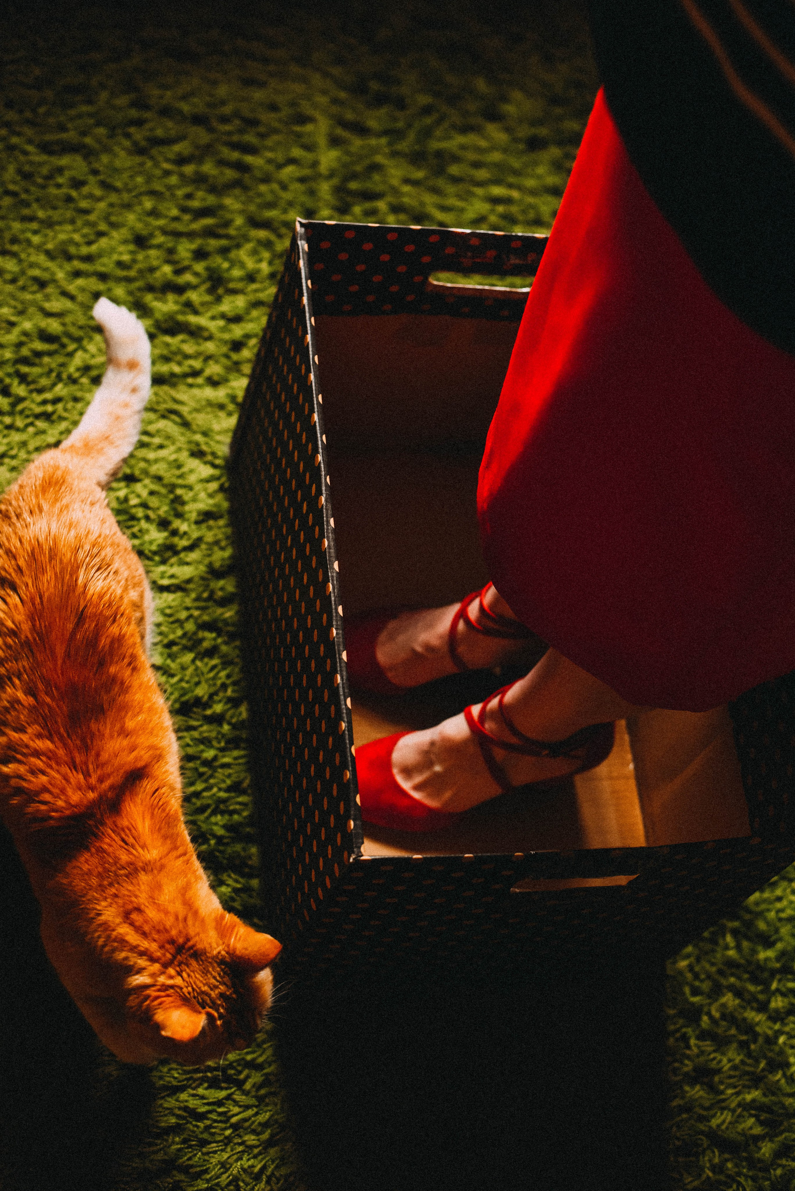 Творческая, мечтательная съемка. Женский и семейный фотограф Людмила Богачкина